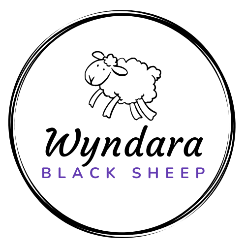 Wyndara logo - Belinda Amess.png