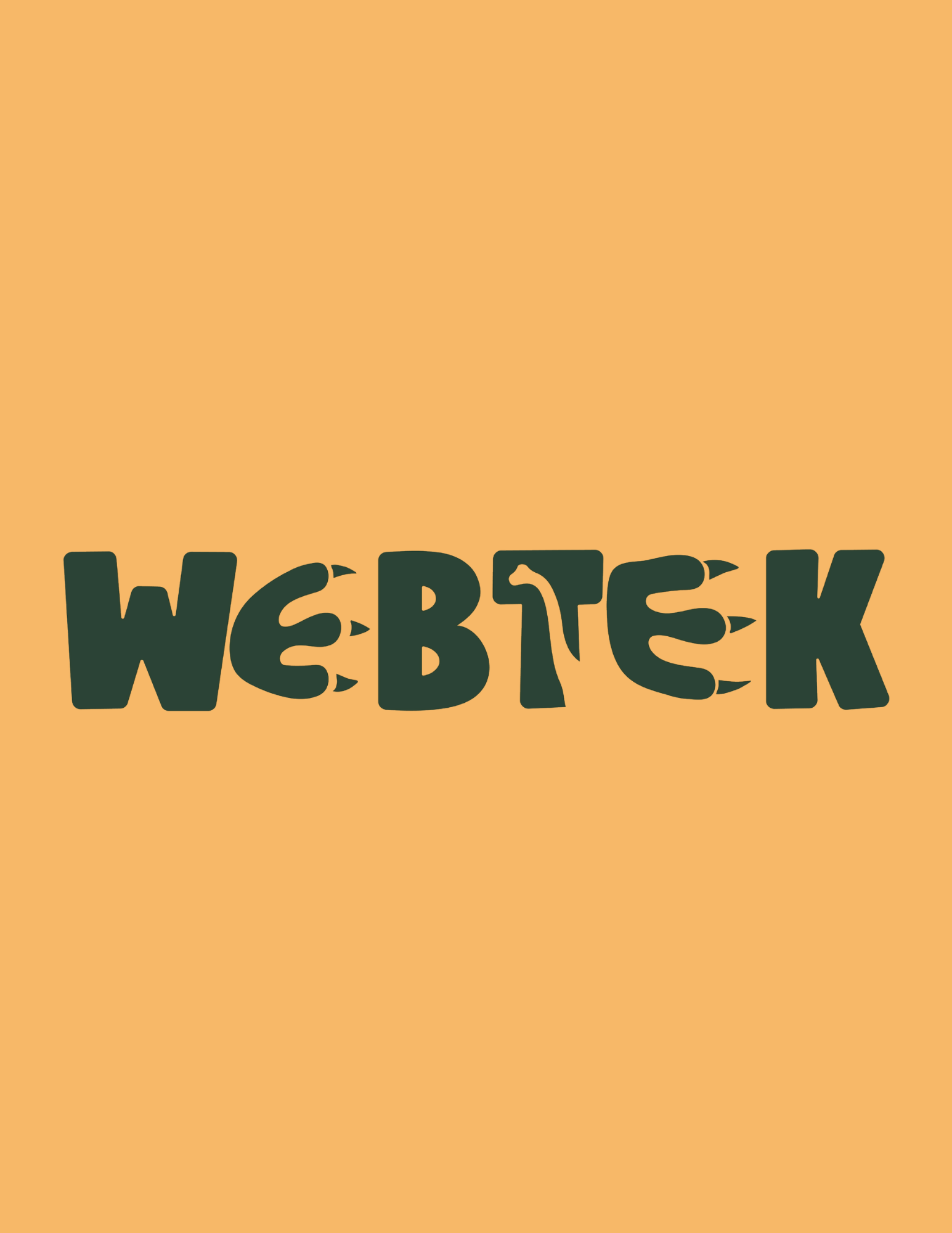 Website Development Business