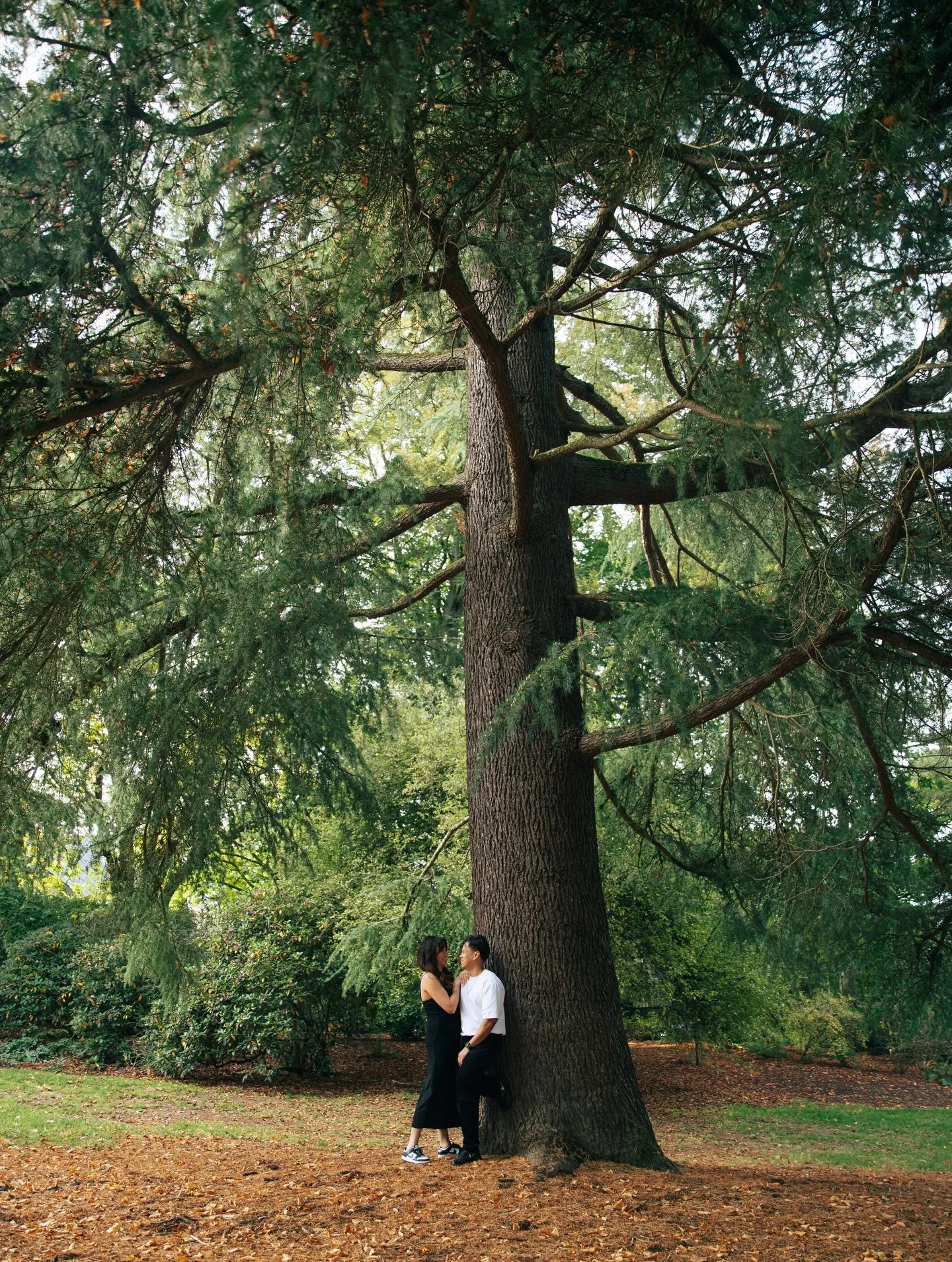 Leemuel + Nadine in Seattle 🌳 

#orangecountyphotographer 
#ocengagementphotographer 
#engagementsession 
#seorakstudios
