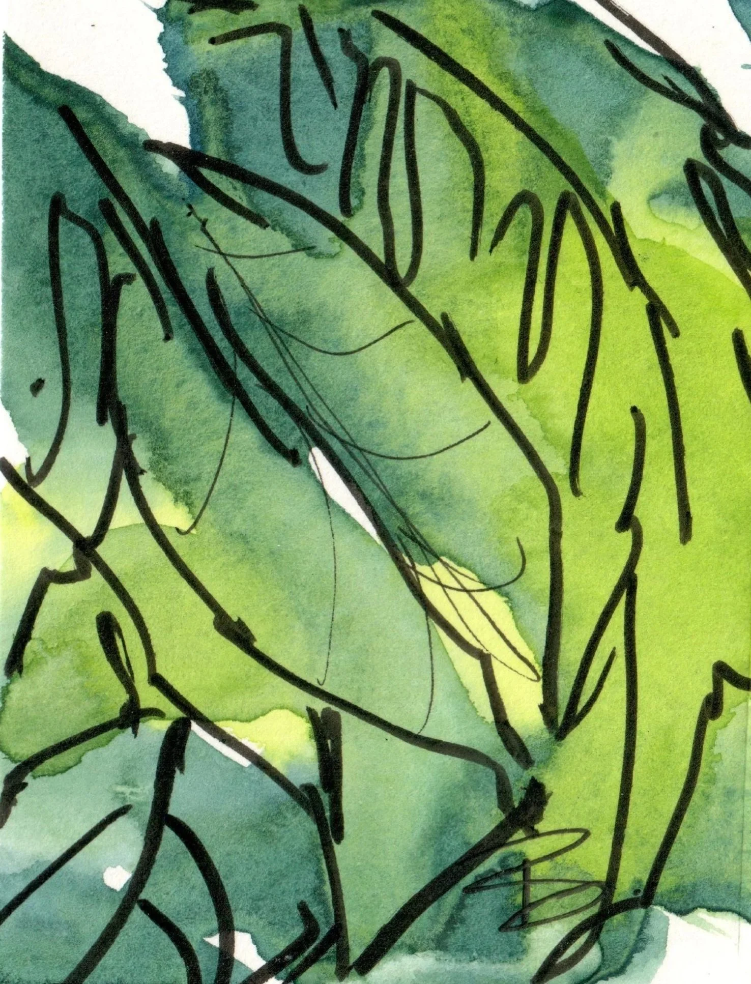 Forest Walks: Abstract Explorations in limited palette watercolour & ink. Prints available soon.