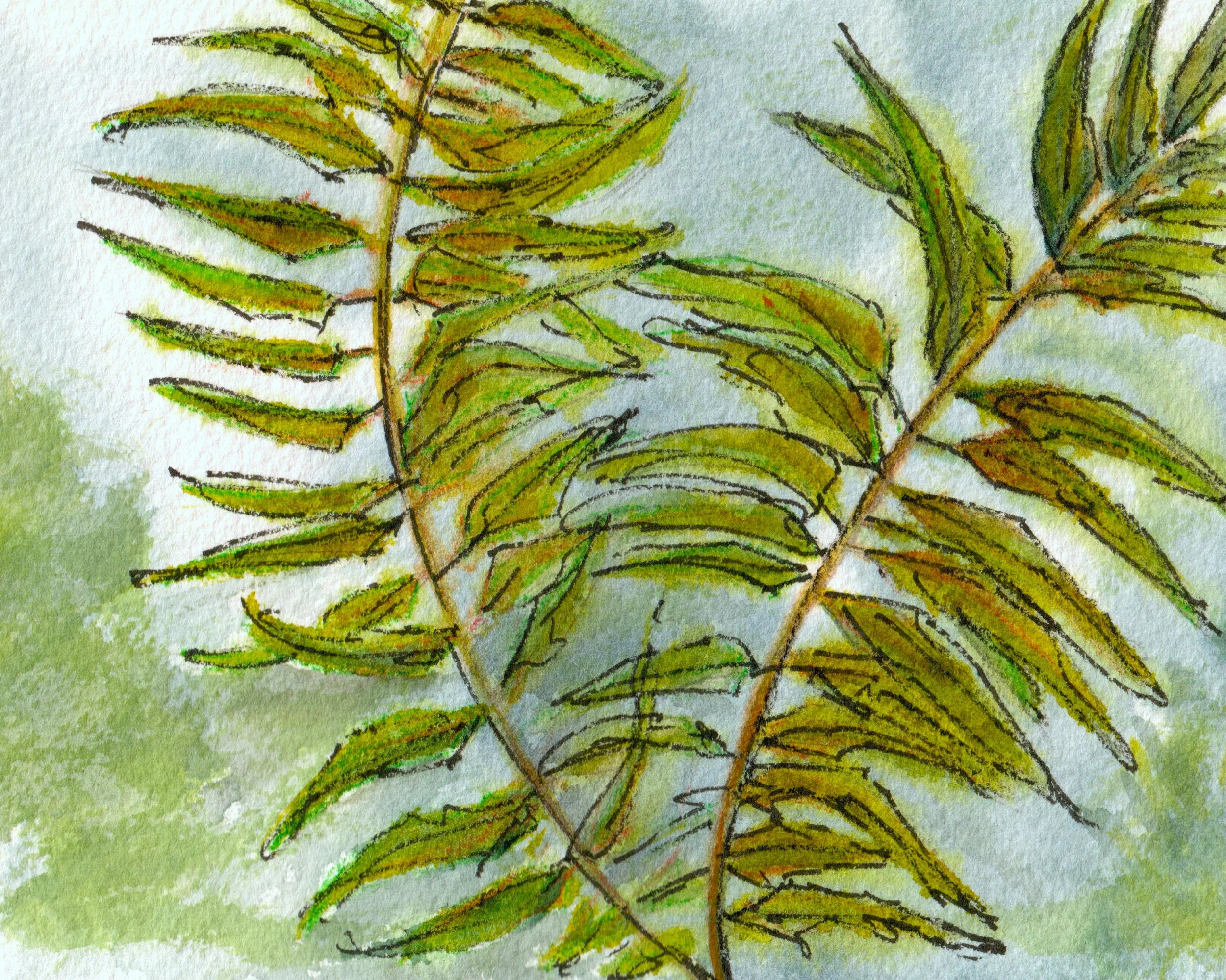 Quiet. Watercolour. 5 X 7" Framed Original available for sale at the Seabreeze Gallery on Bowen Island- $120.00
