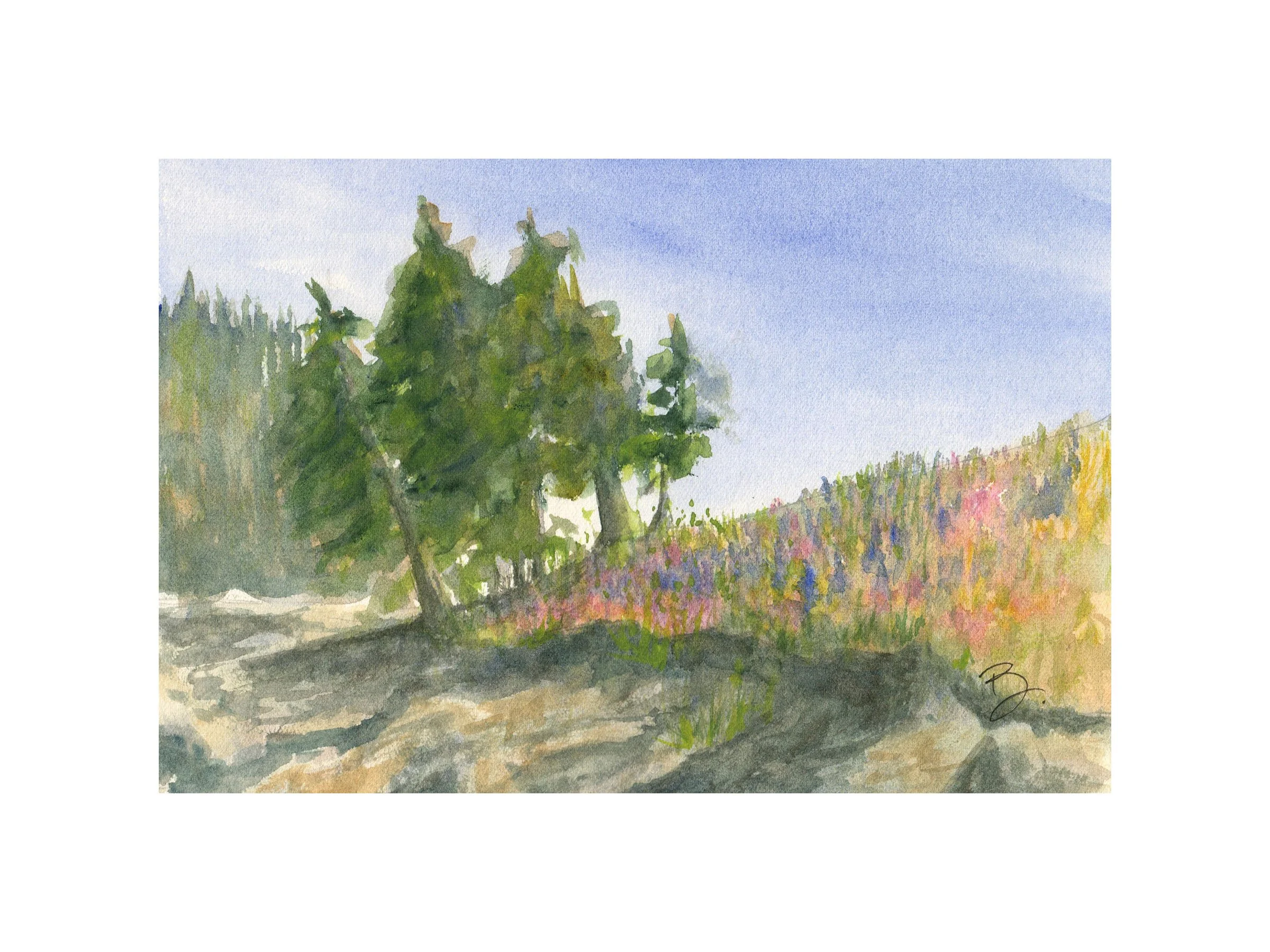 Ruxton Wildflowers, 2025, Watercolour, 8" X 6"