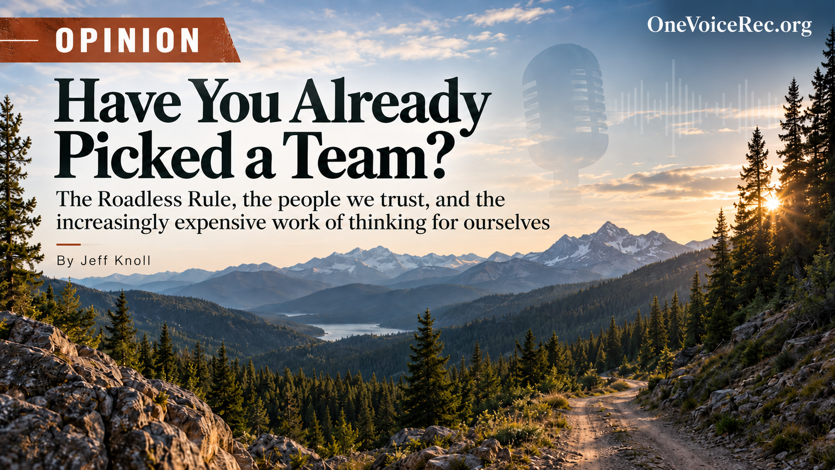 Opinion: Have You Already Picked a Team?