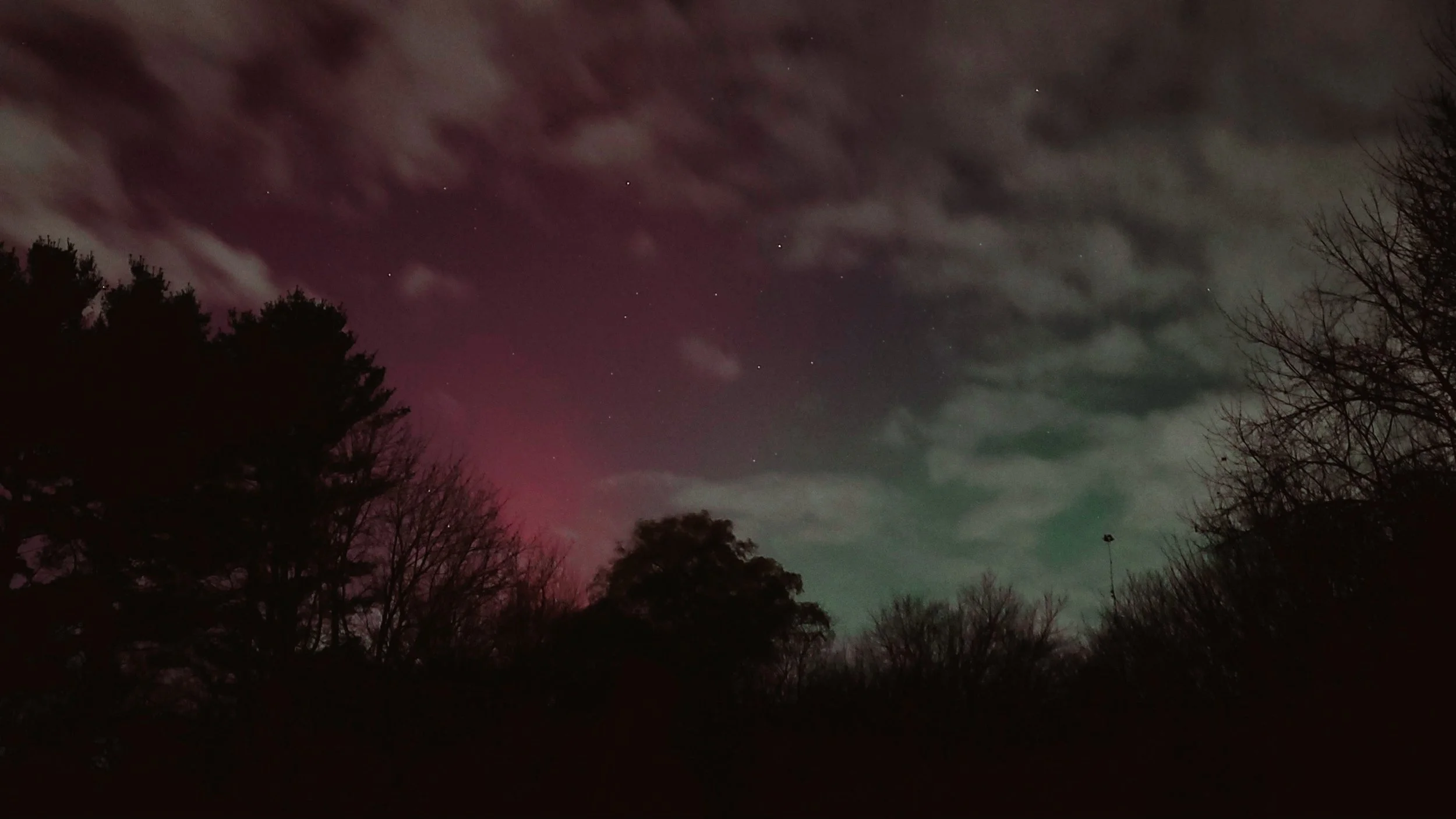 The Power and the Beauty