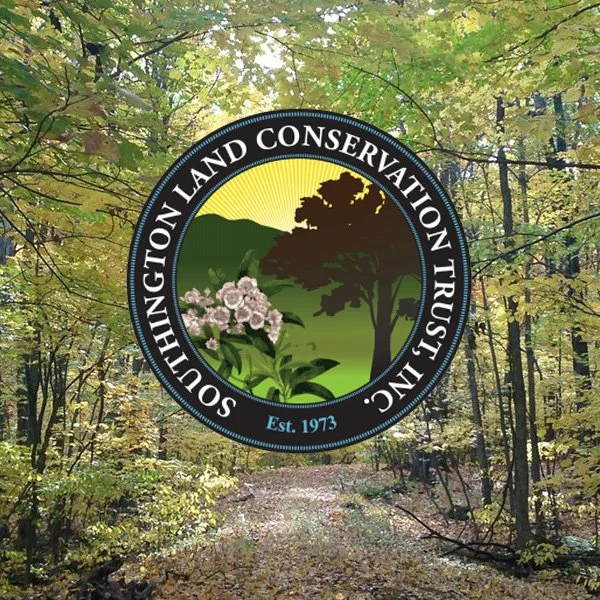 Stargazing and Stewardship: Connecting Land and Sky at the Southington Land Conservation Trust