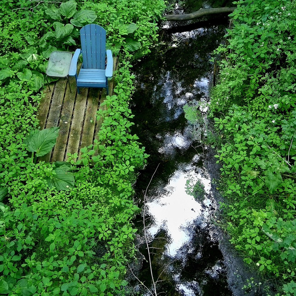 Life and How to Live It