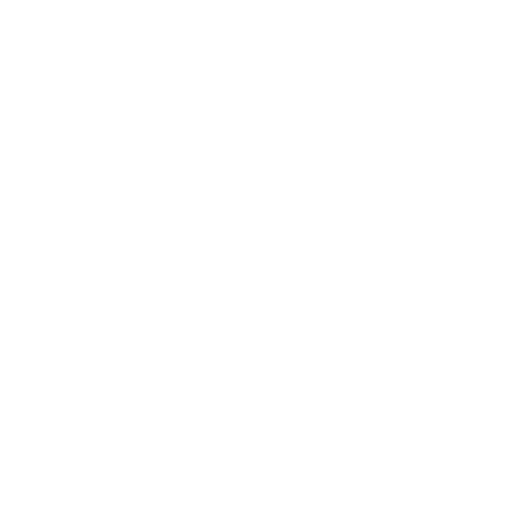 Orion Perspectives