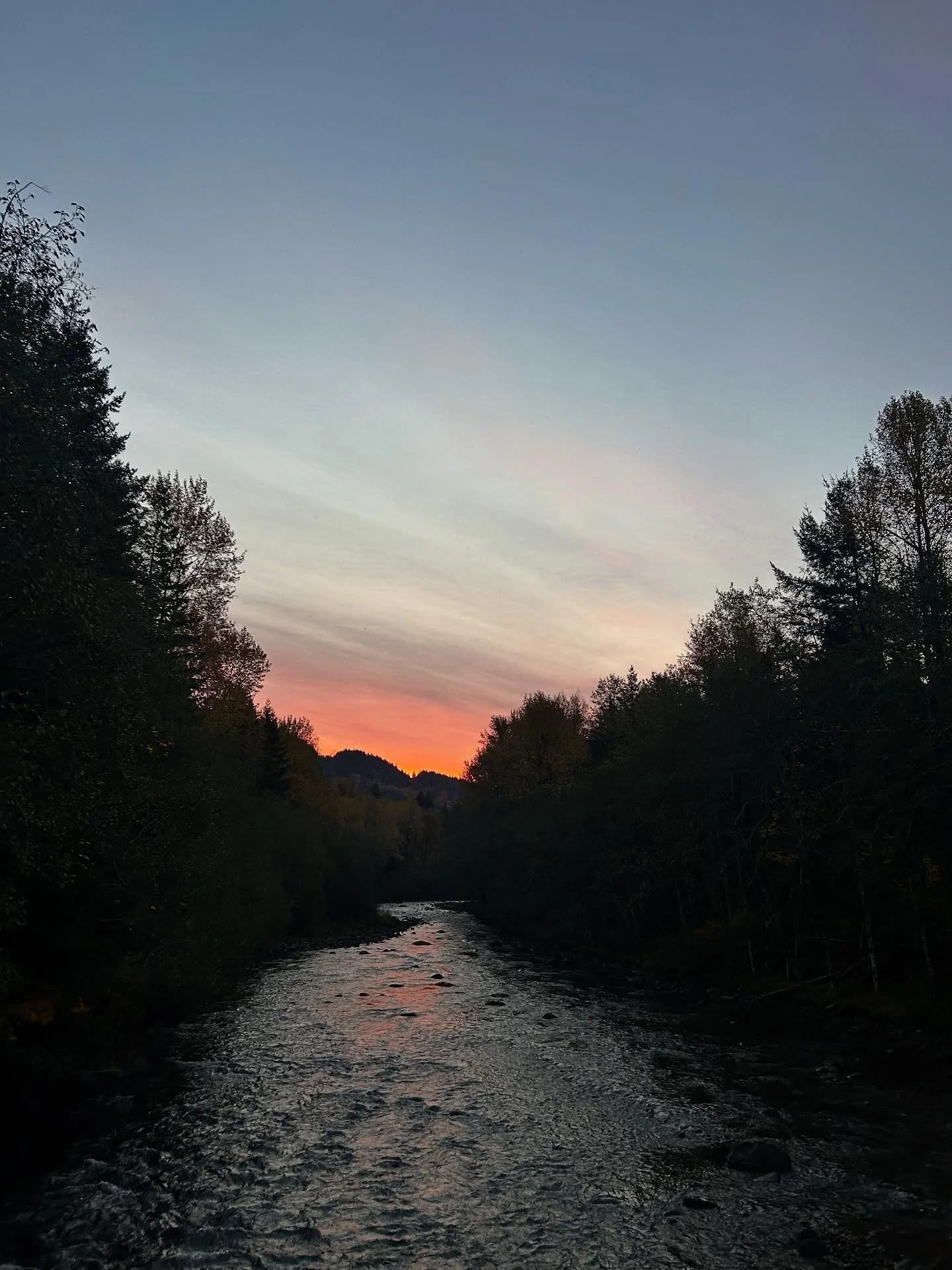 Good morning Brightwood! And happy Halloween!
Come join us tonight for dinner at five, party starts at six. Wear your costume and get ready for some cool cocktails, and spooky jack-o&rsquo;-lantern lit backyard!
Whatever you do tonight, have fun, dri