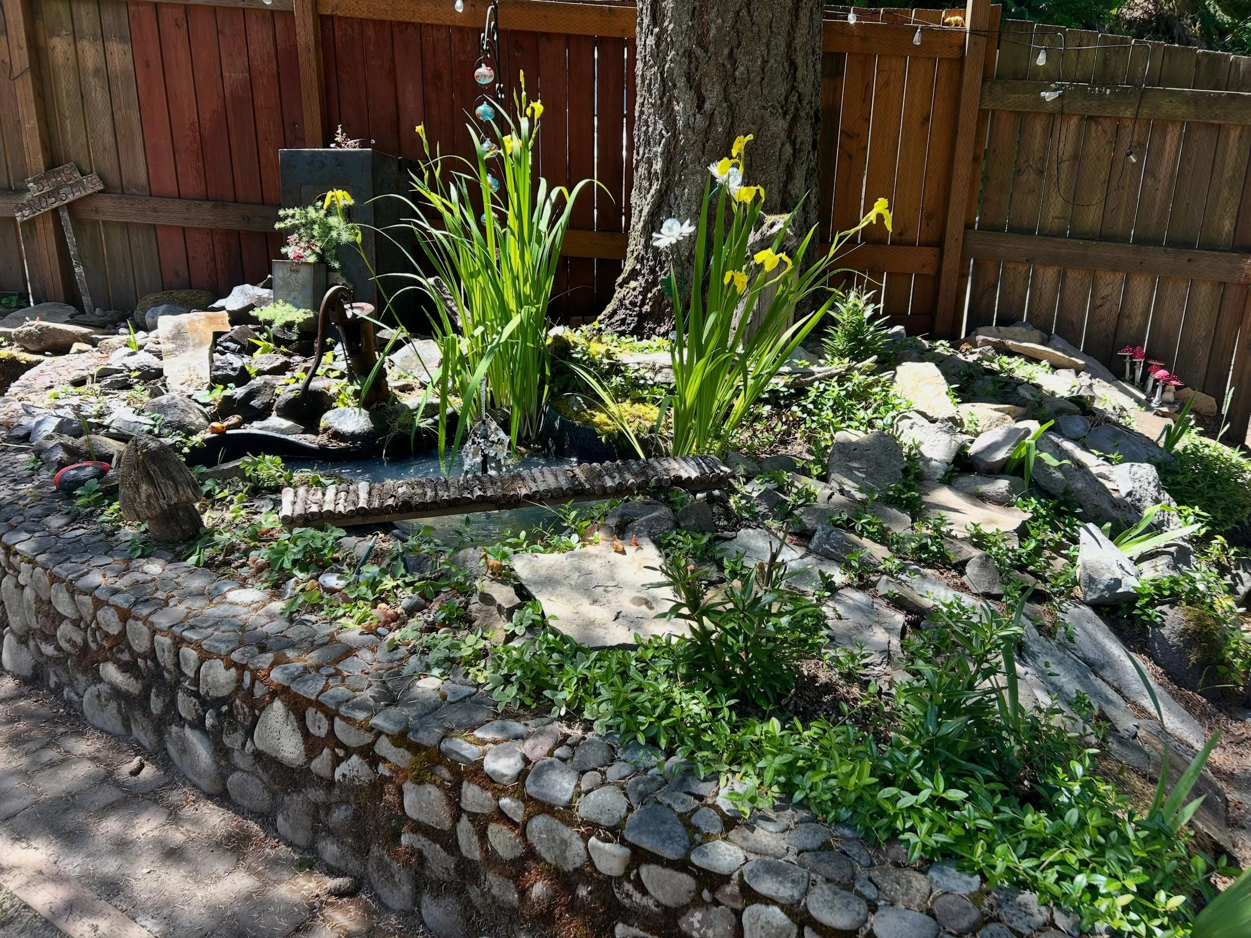 New clean pond vibes
🐟 🌱