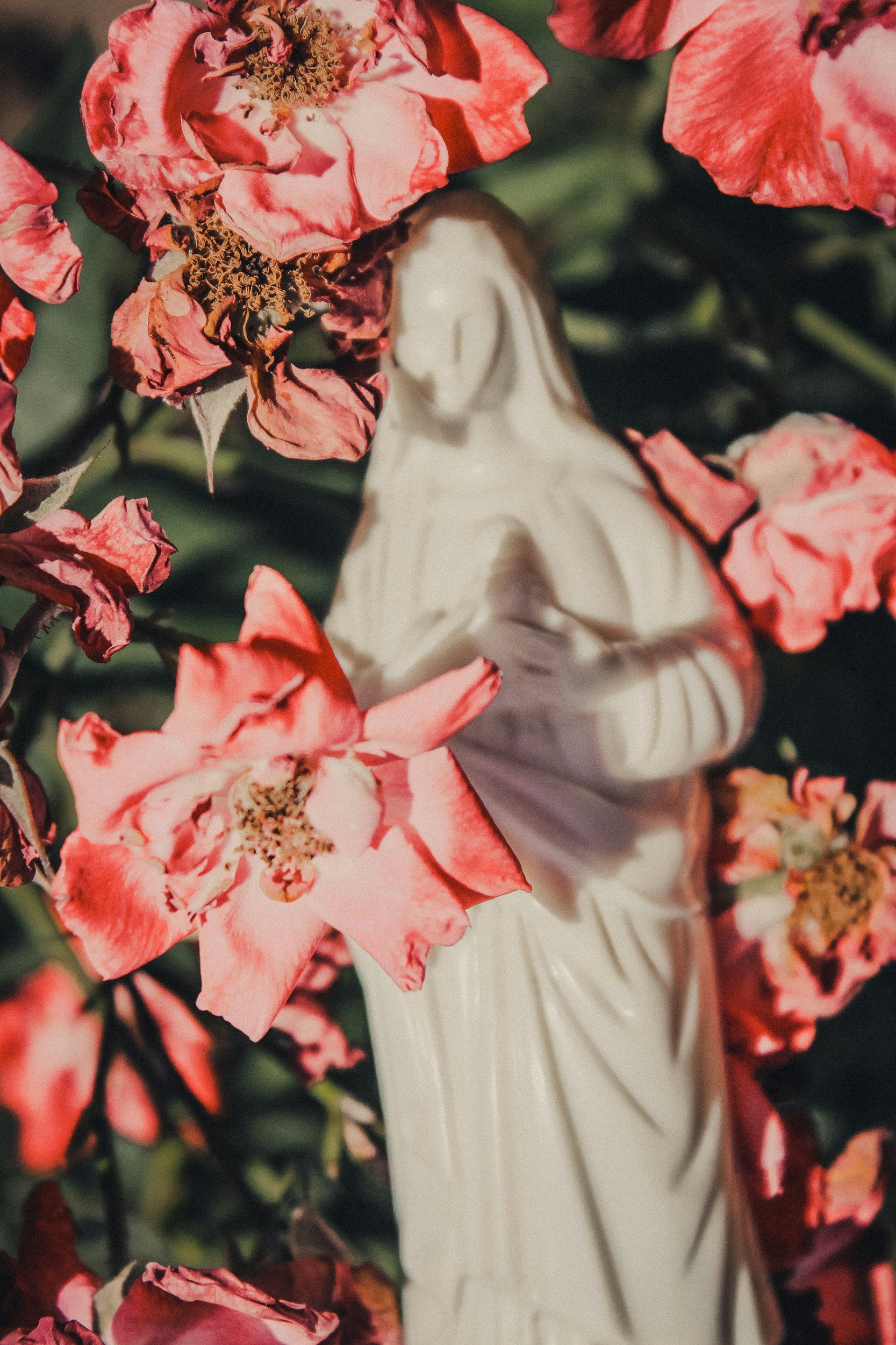 “You are my love life.” Virgo Season and the Virgin Archetype