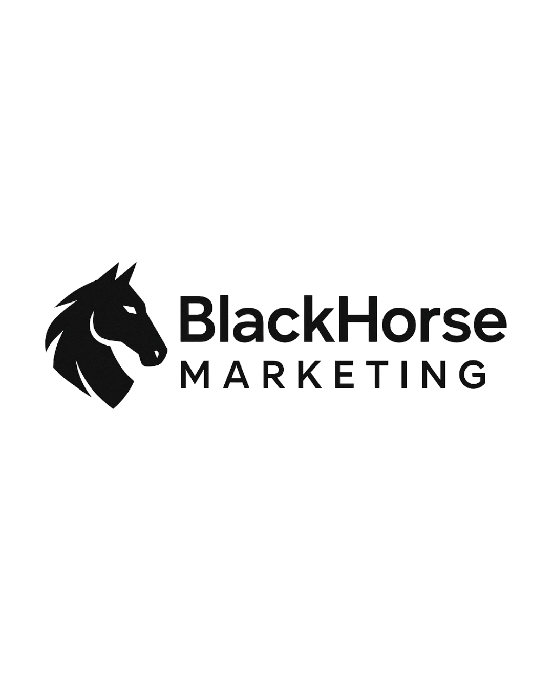 BlackHorse Marketing logo with a black horse head graphic and the company name in black text.