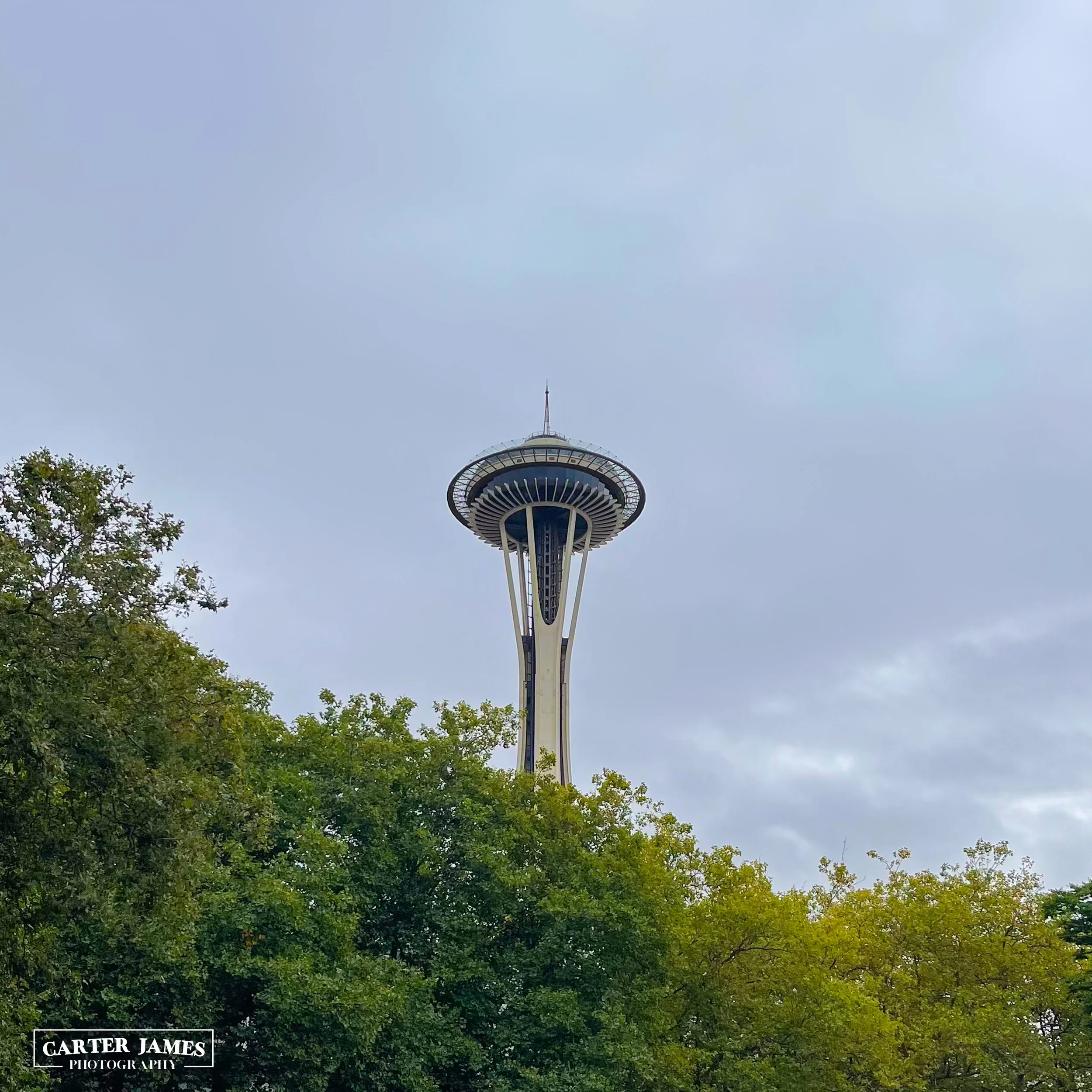 spaceneedle4096web-2.jpg