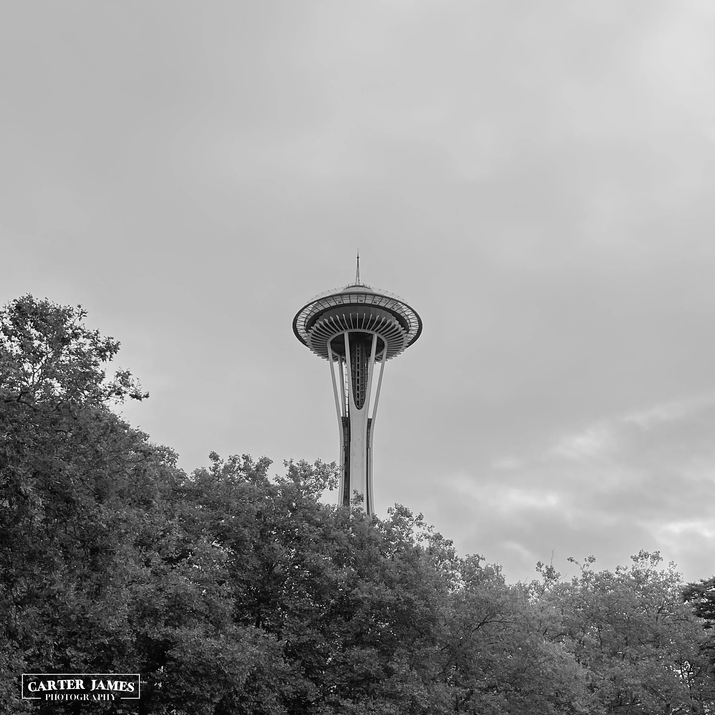 spaceneedlebw4096web.jpg