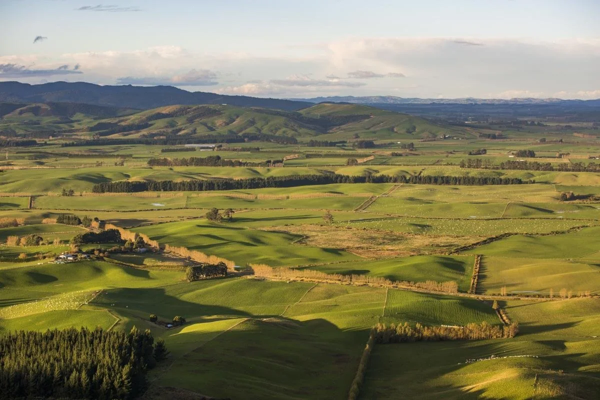 A scenic landscape of rolling green hills and farmland with patches of trees, under a partly cloudy sky.