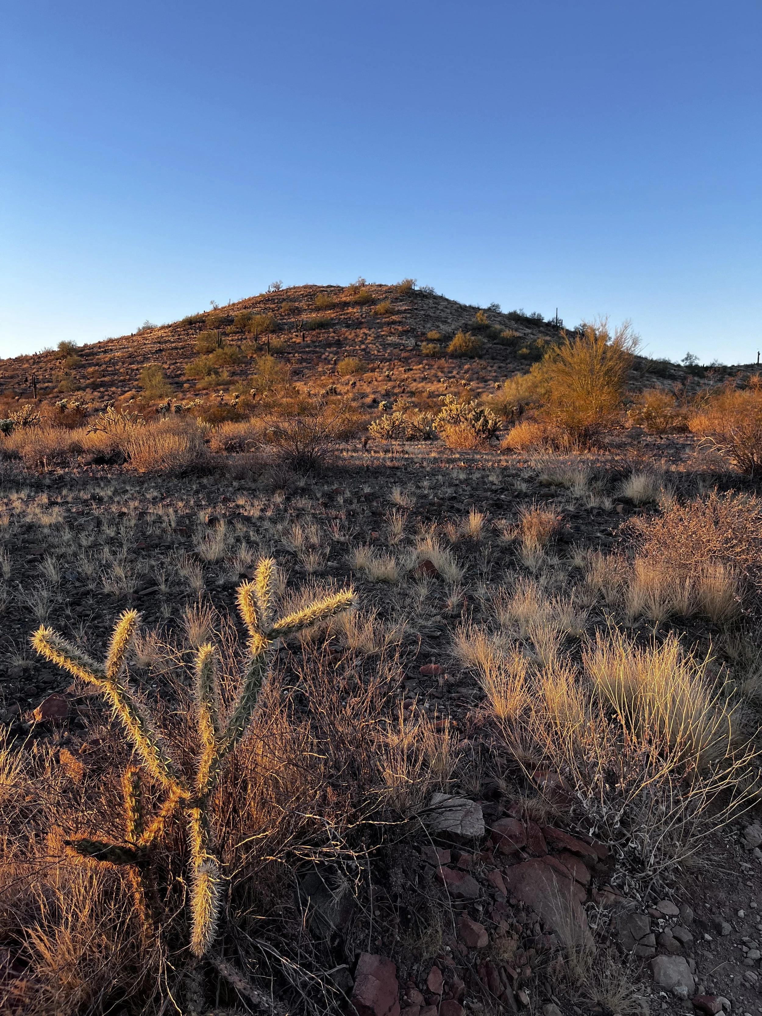 If No One Was Going to See It… Would You Still Buy It?