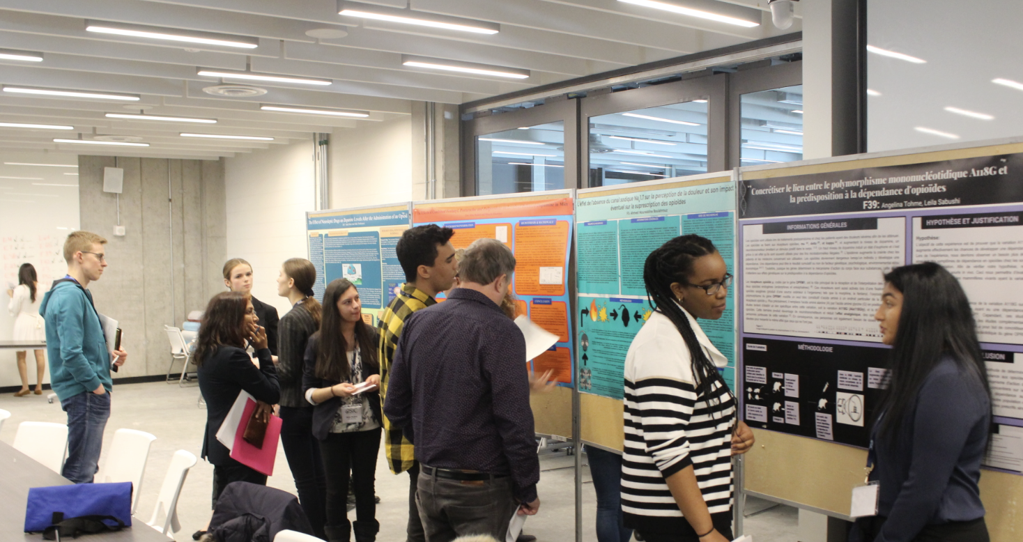 Screenshot 2026-02-20 at 16.25.19.png