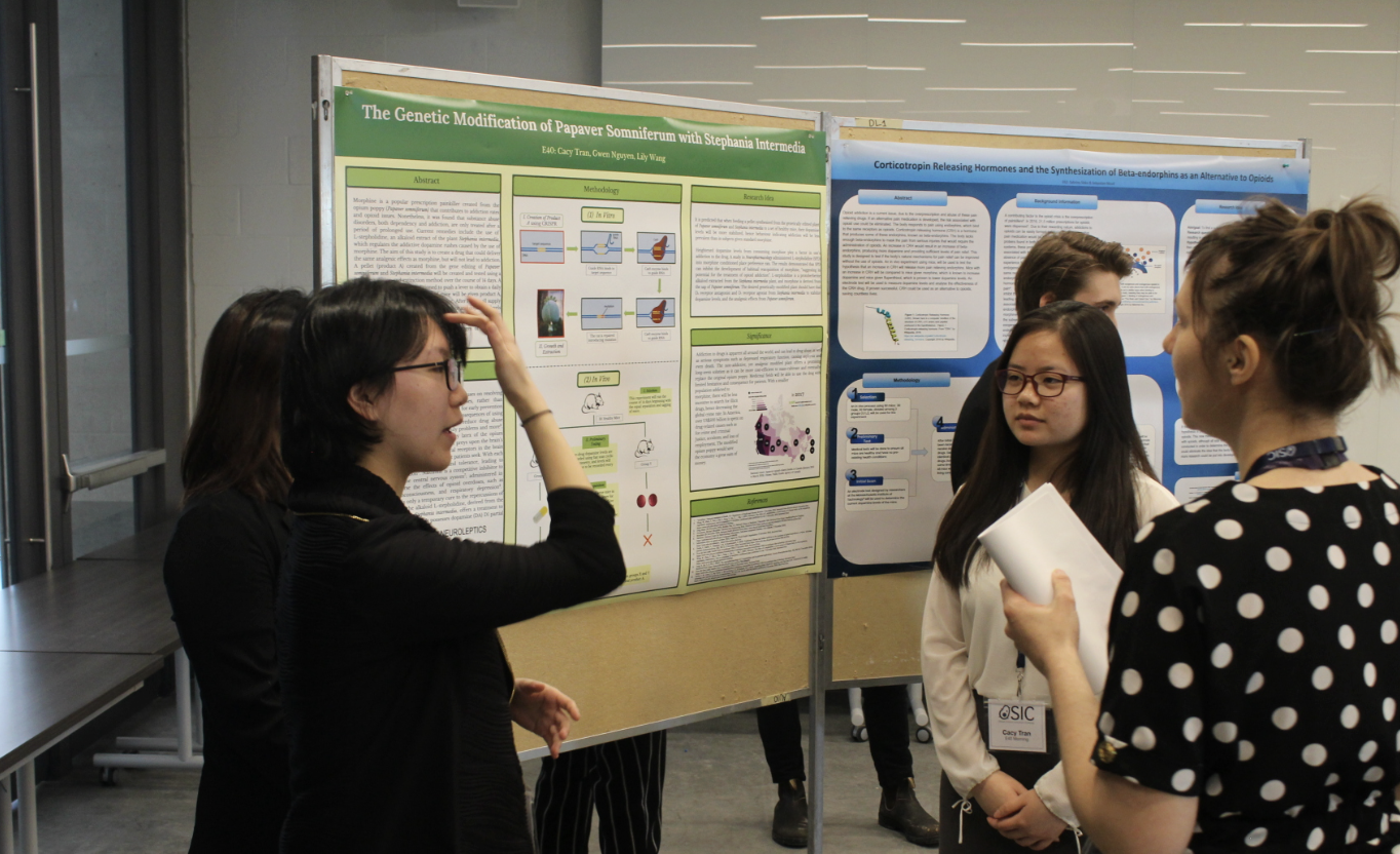 Screenshot 2026-02-20 at 16.25.09.png