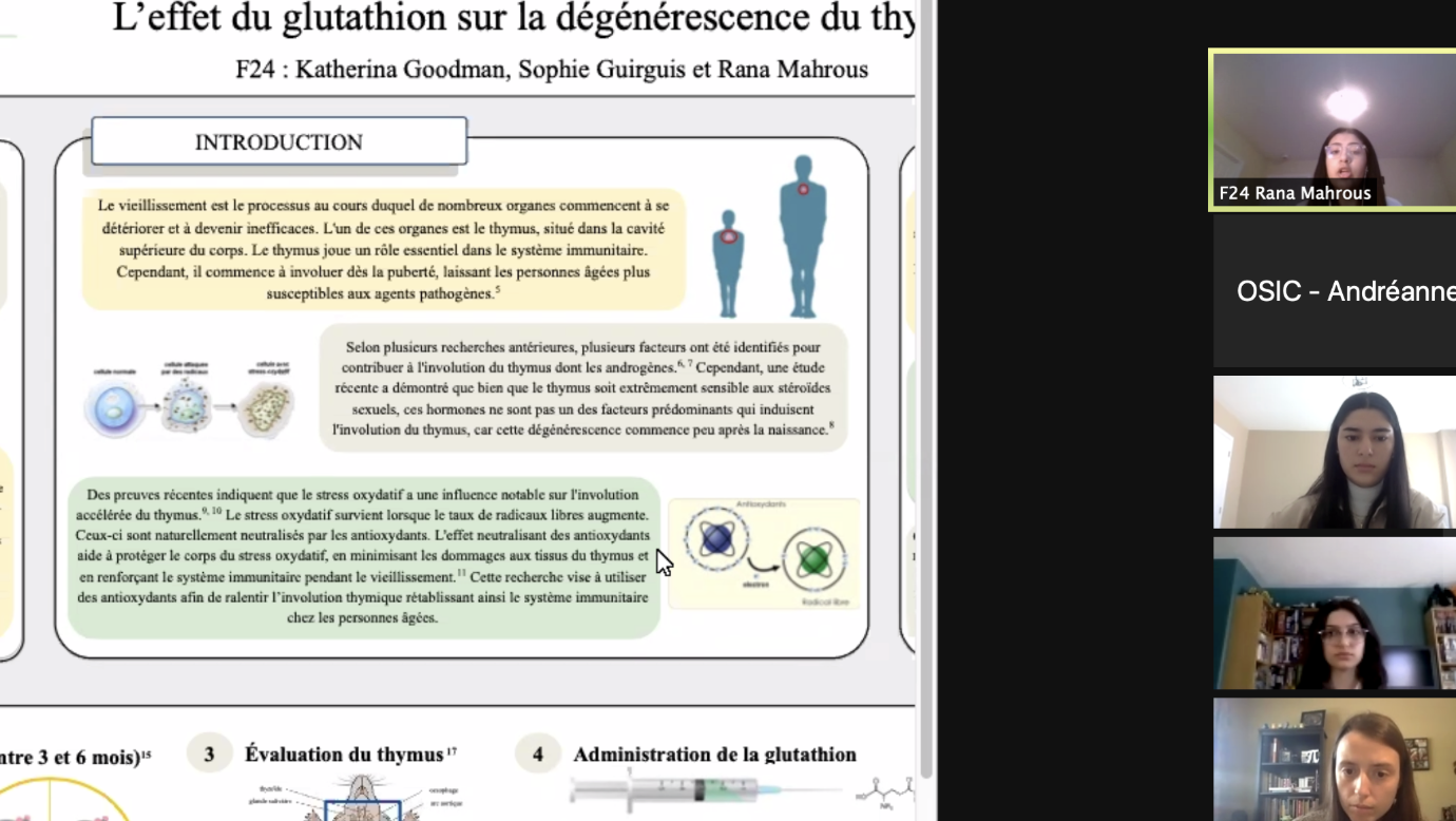 Screenshot 2026-02-20 at 16.09.18.png