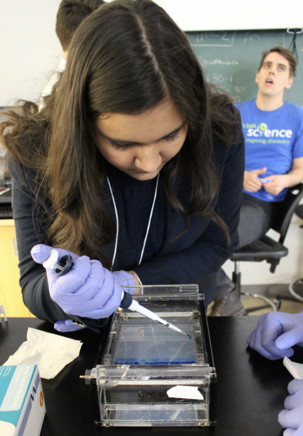 Screenshot 2026-02-20 at 16.30.00.png