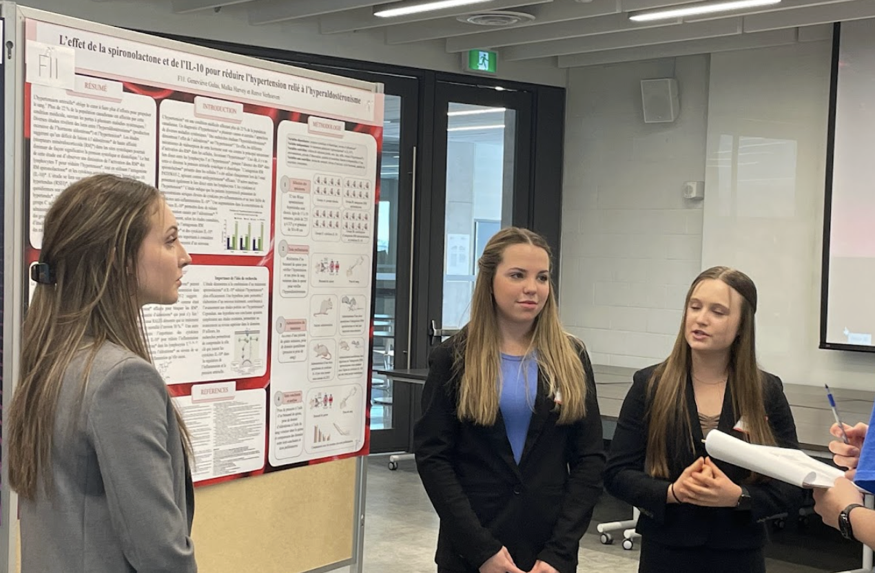 Screenshot 2026-02-20 at 16.02.44.png