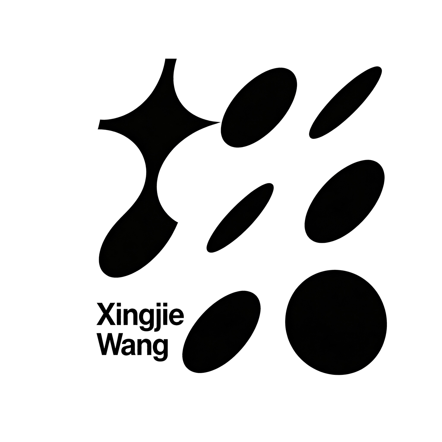 Xingjie Wang Work 汪星杰