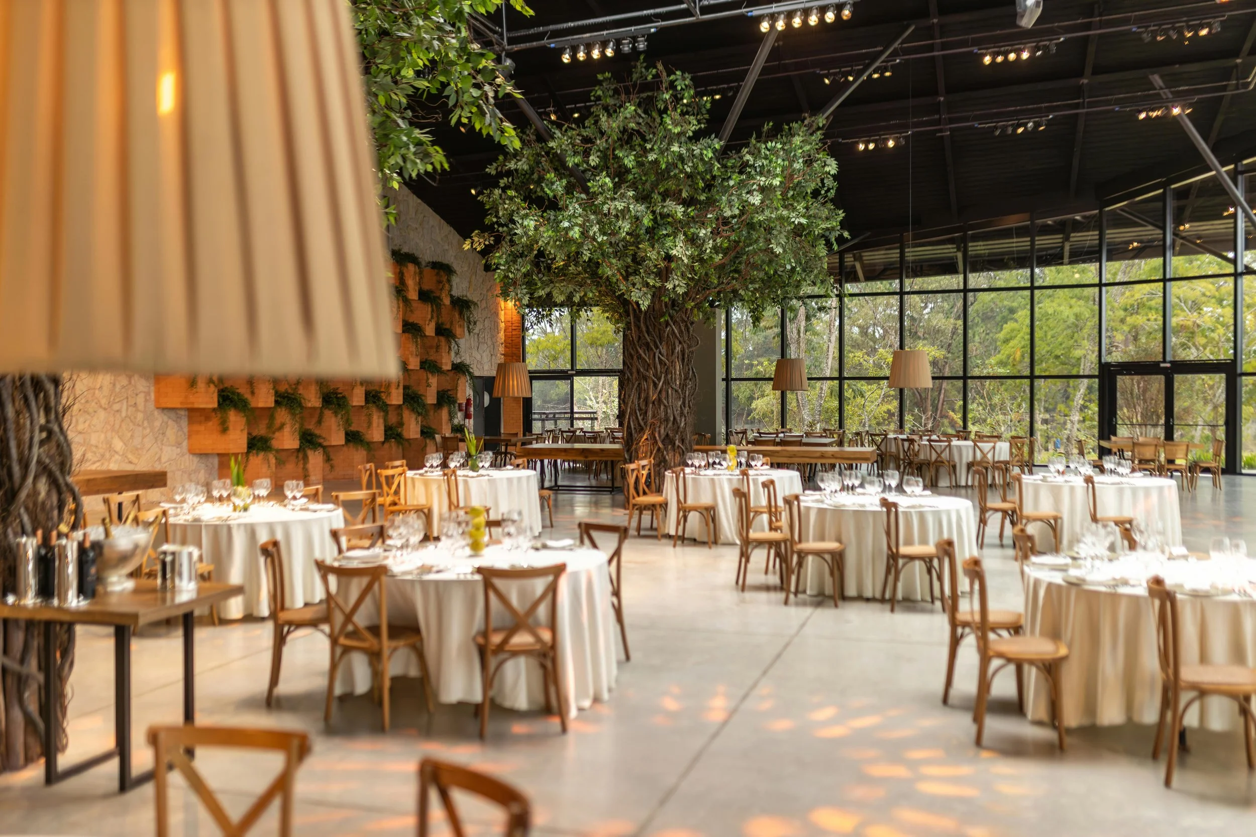 Restaurant with round tables covered with white tablecloths, wooden chairs, large windows, and a large artificial tree in the center of the space.