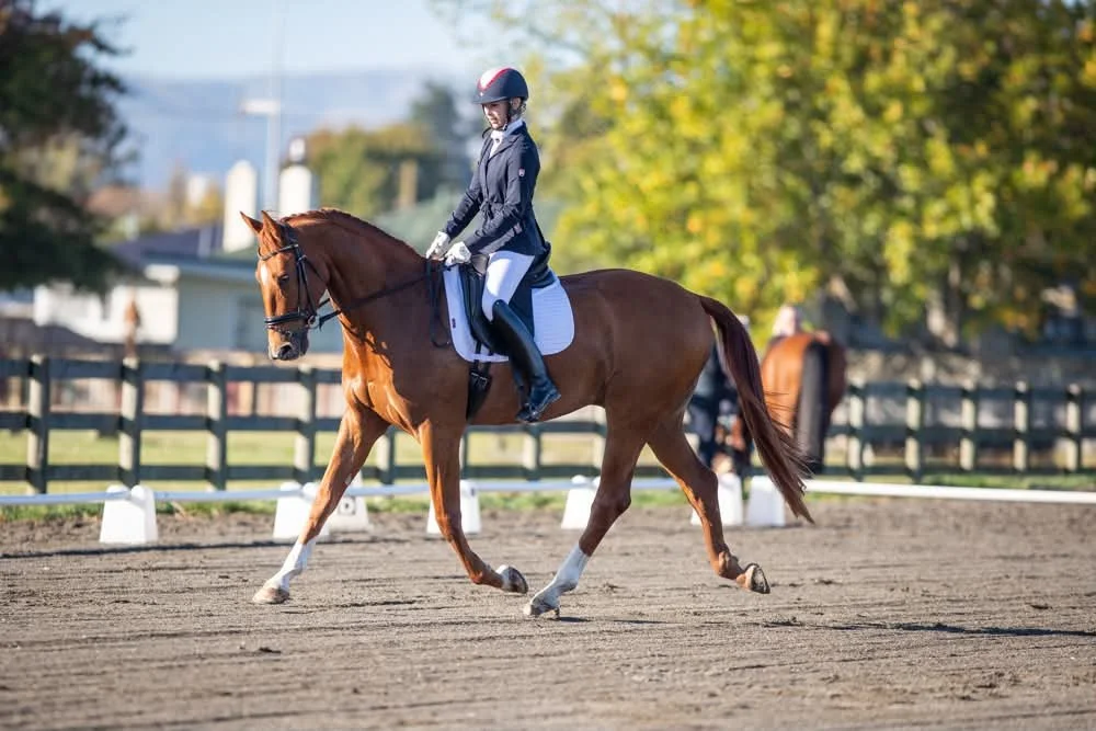 Female rider and chestnut horse competing in dressage, supported by regular physiotherapy for improved performance