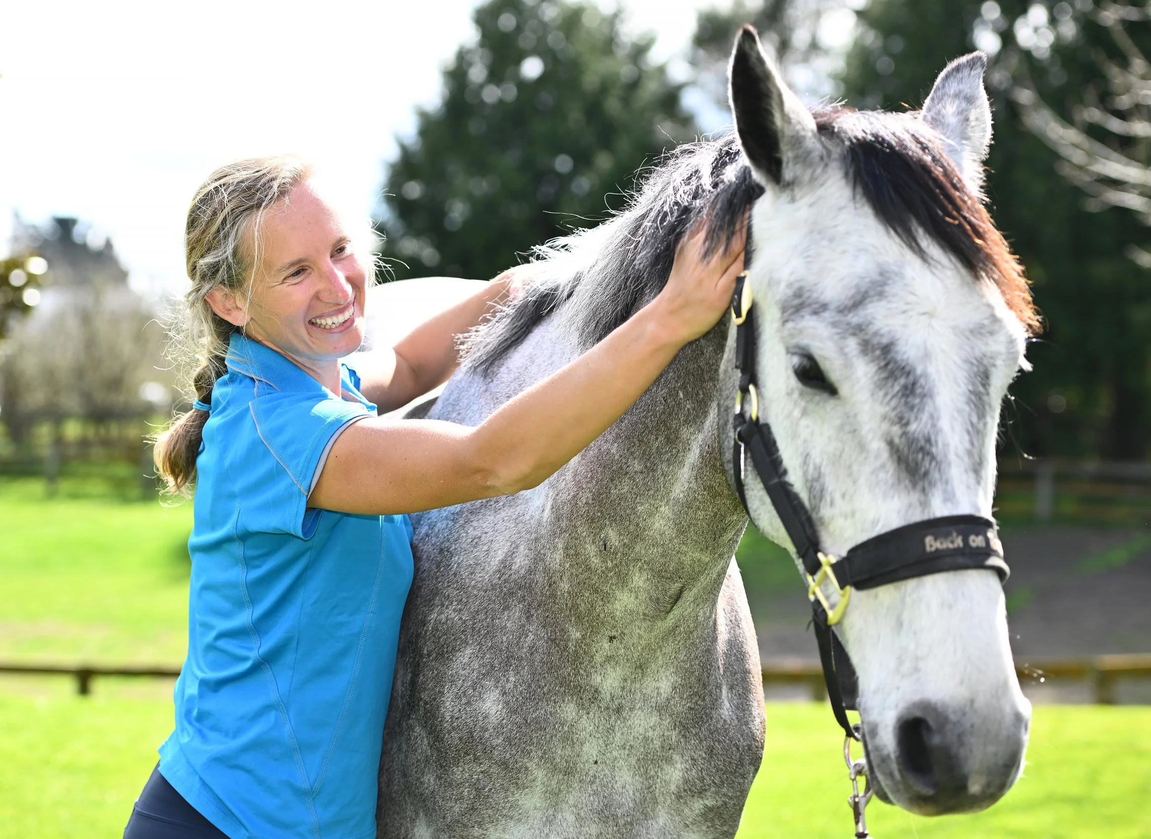 Animal Physiotherapist Helen providing treatment to a grey horse