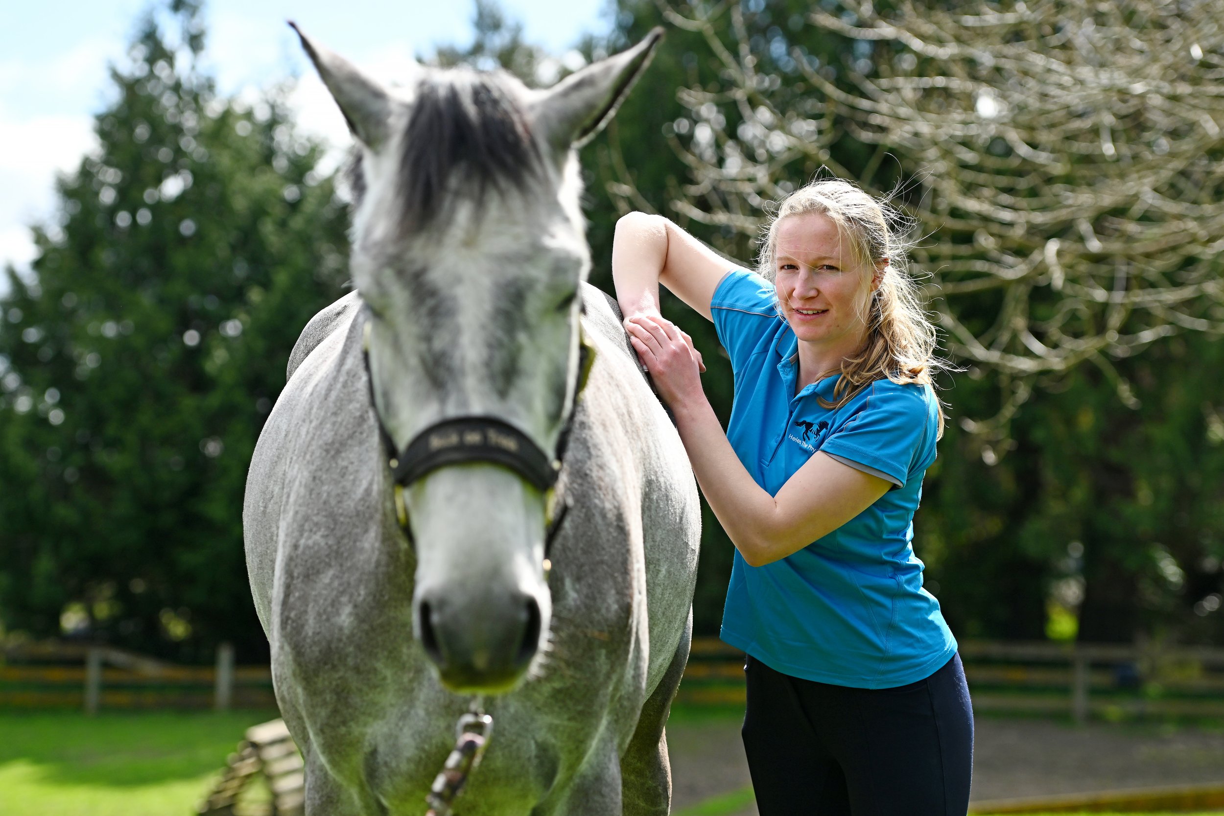 Grey horse receiving physiotherapy treatment with Molly Robinson, Veterinary Physiotherapistphsyio