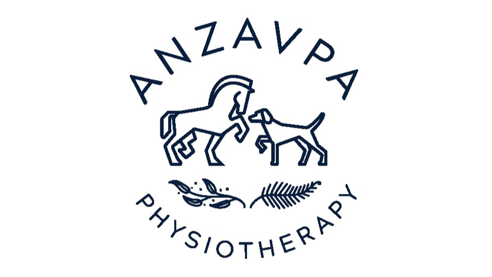 ANZAVPA Physiotherapy