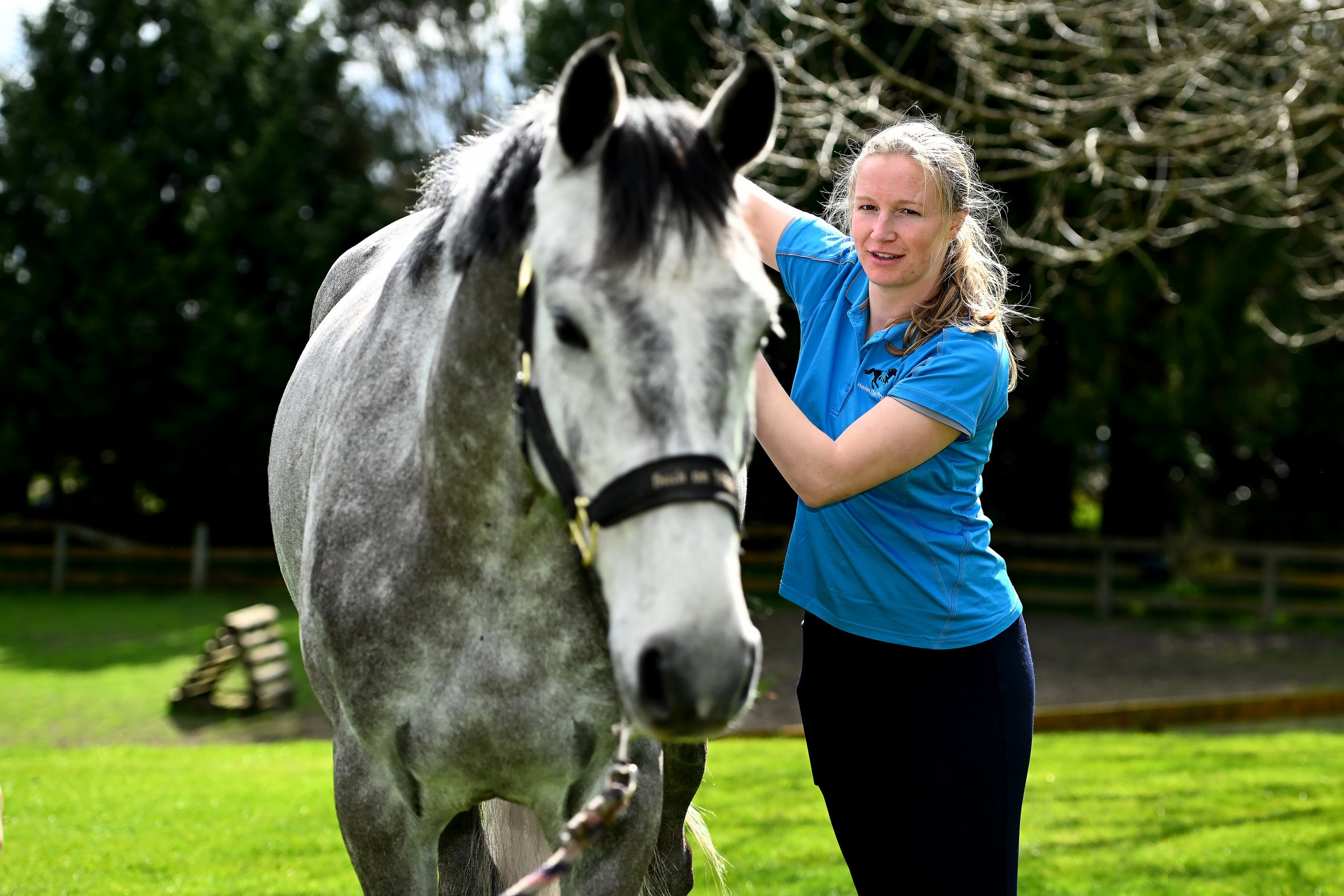 Molly the Veterinary Physiotherapist applying treatment to relaxed grey horse