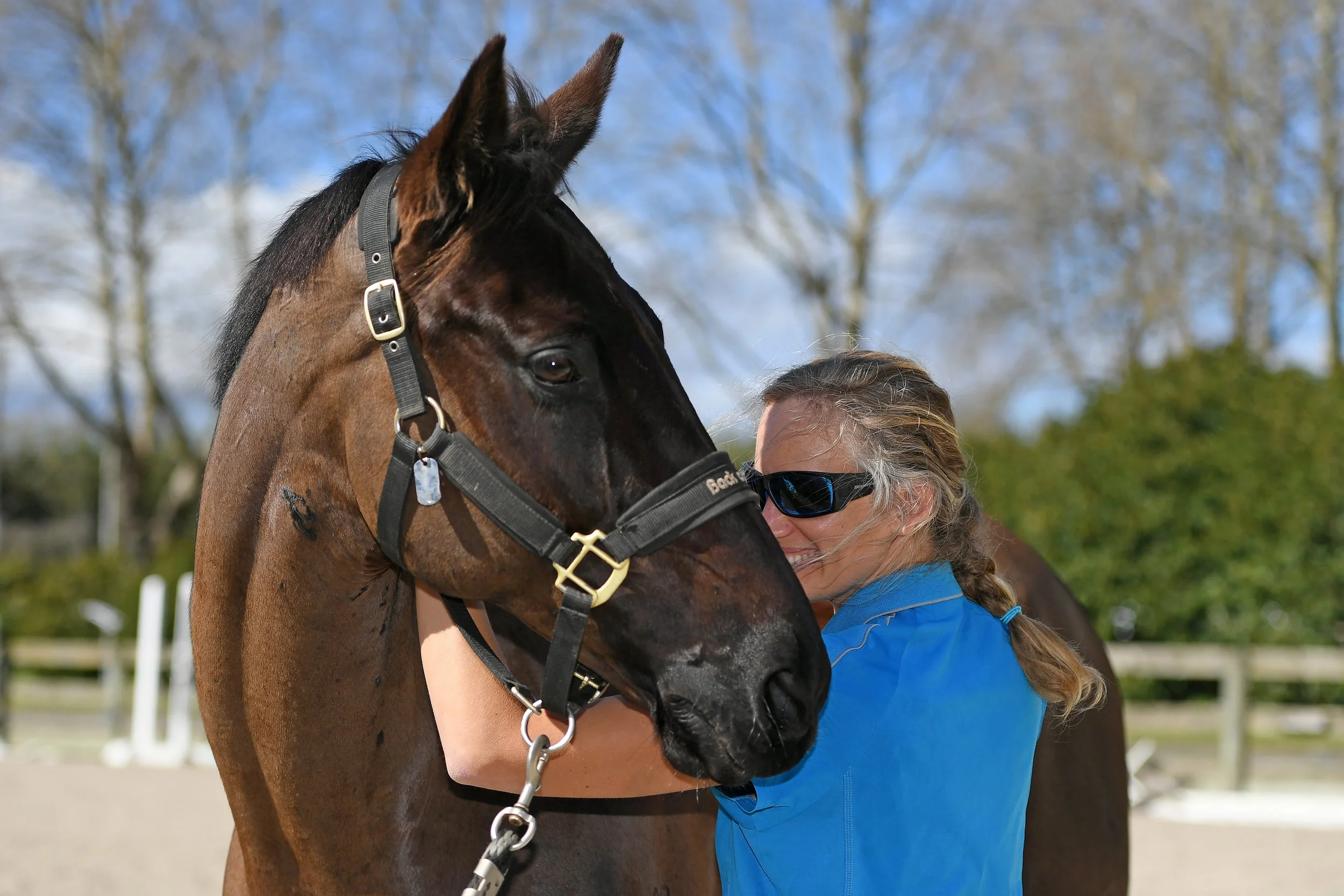 Dark horse looking over shoulder of Helen the physio as she provides a physiotherapy treatment