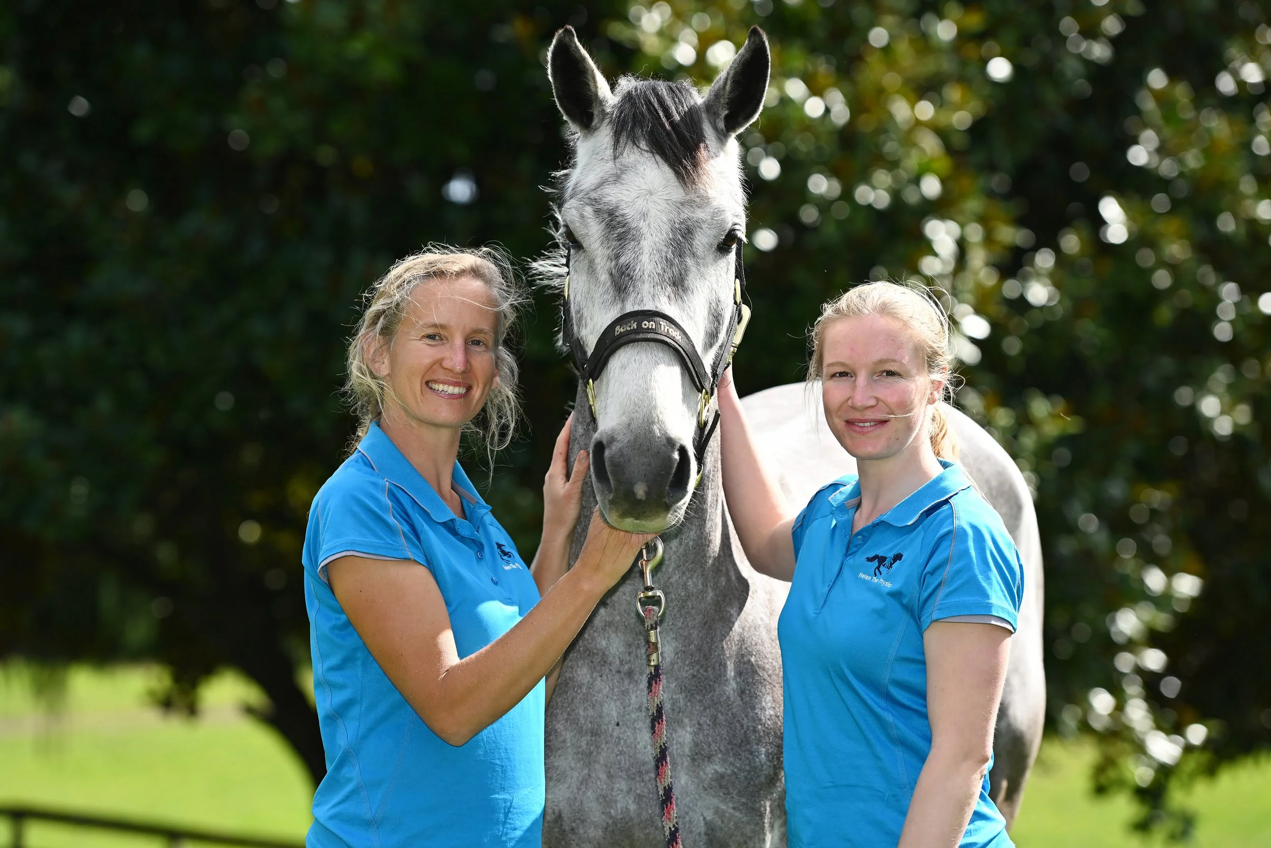 Sweet picture of happy grey horse between Animal Physios Helen and Molly