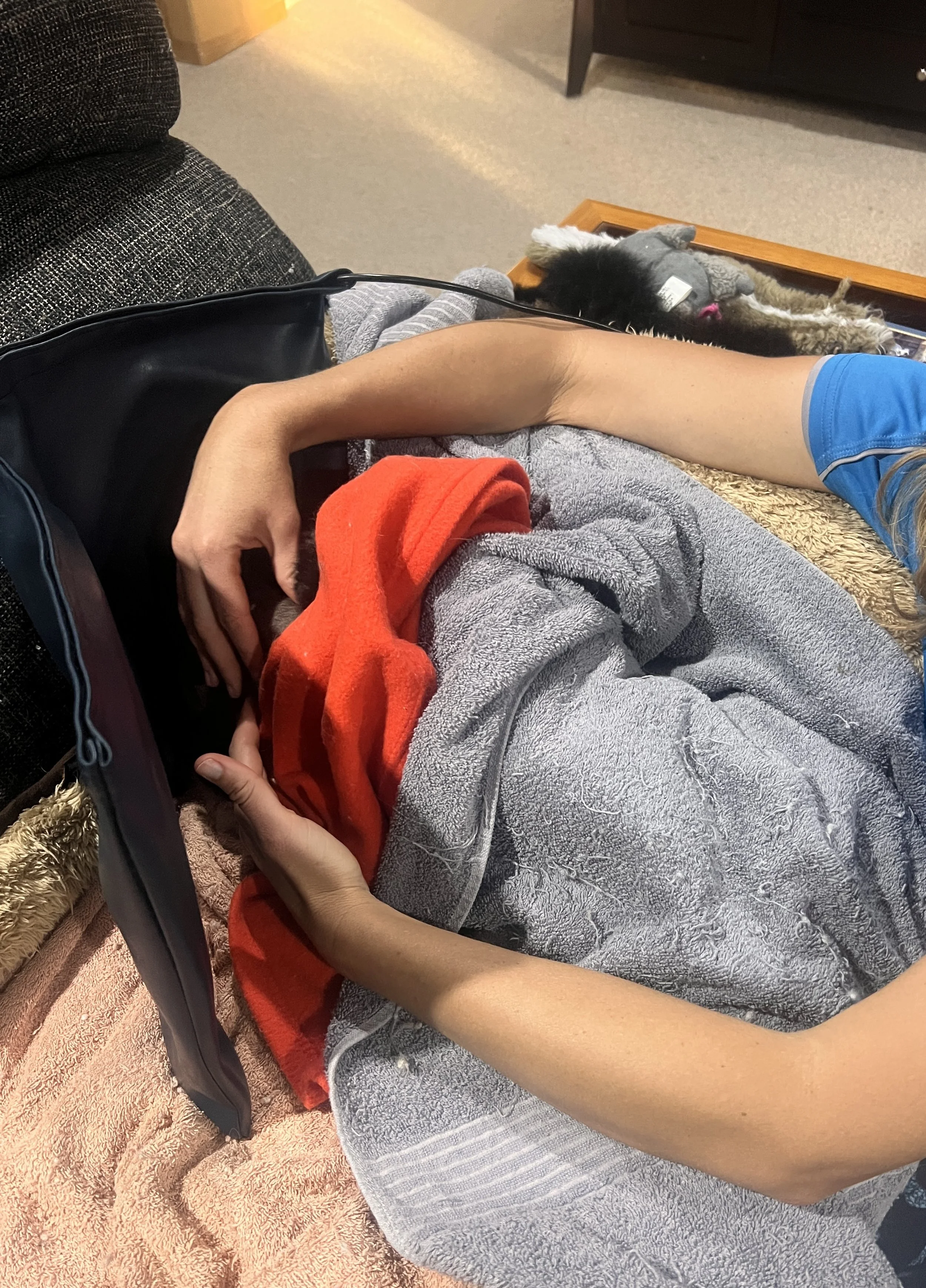 Black cat wrapped in a grey blanket receives gentle physiotherapy treatment with Helen the Physio