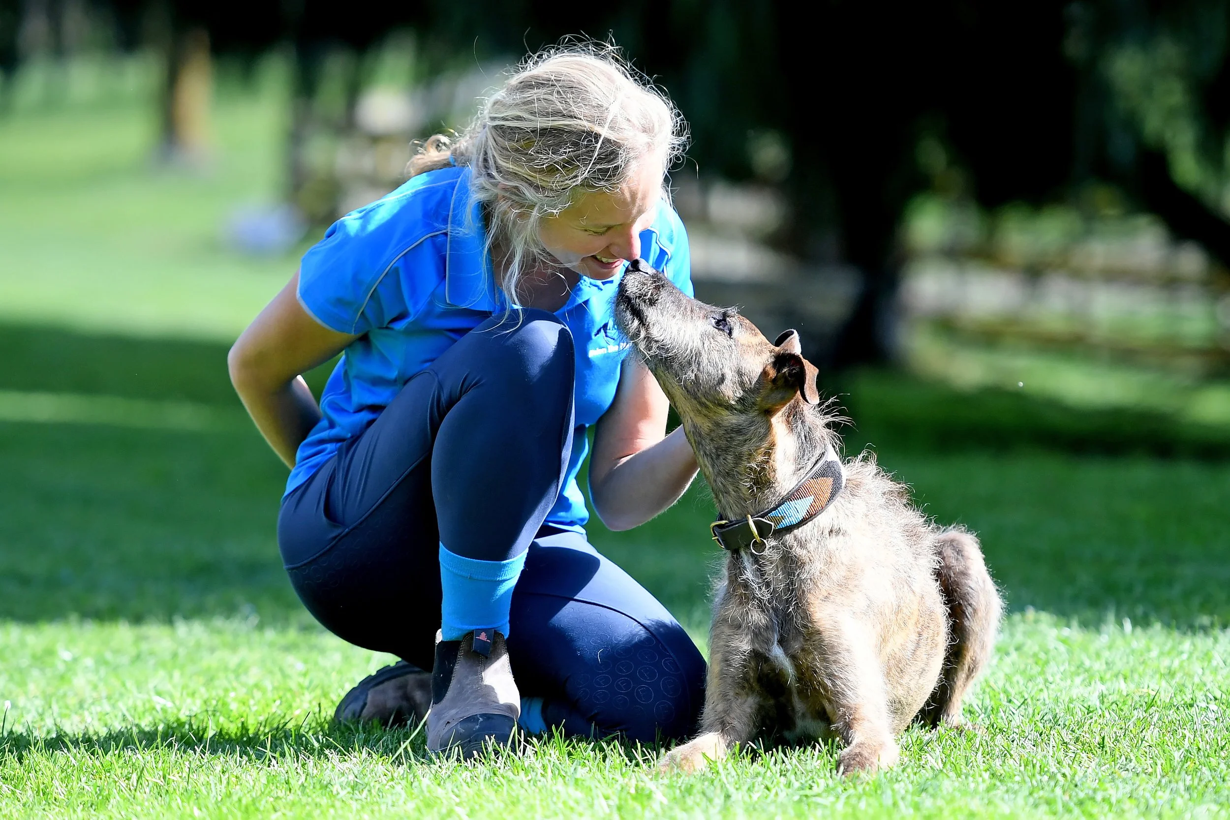 Rhubarb the dog sniffing Helen the Physio's nose as she pats behind his ear