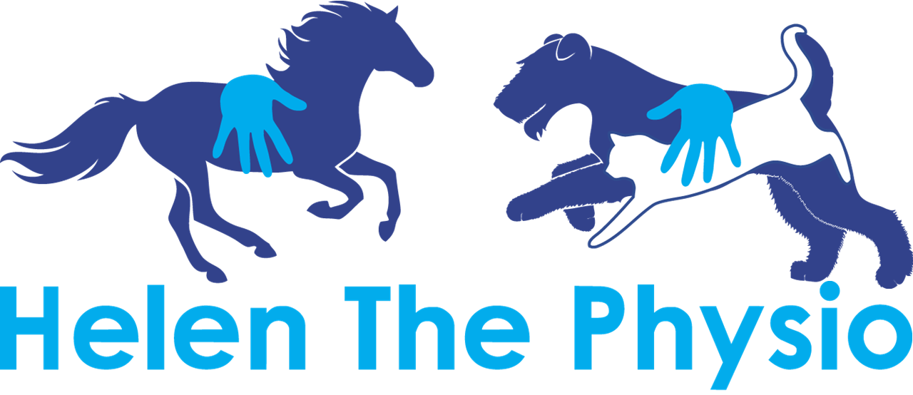 Helen the Physio Logo