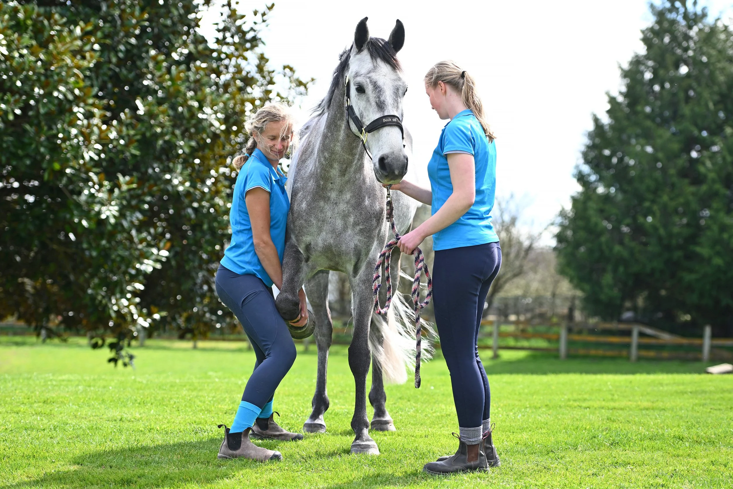 Happy, relaxed grey horse receiving treatment from animal physiotherapists Helen and Molly