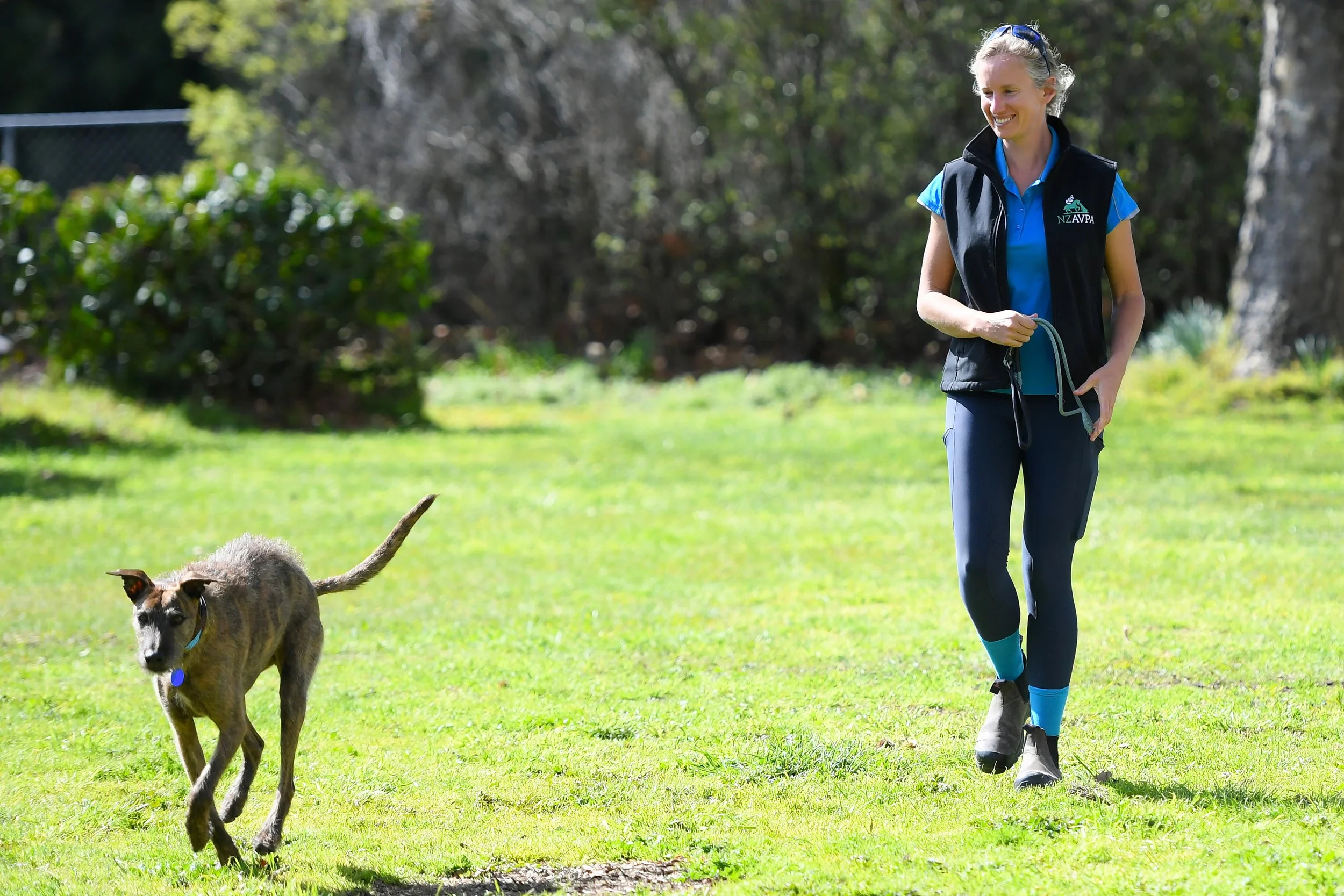 Rhubarb the dog walking off leash in a large field with Helen the Physio