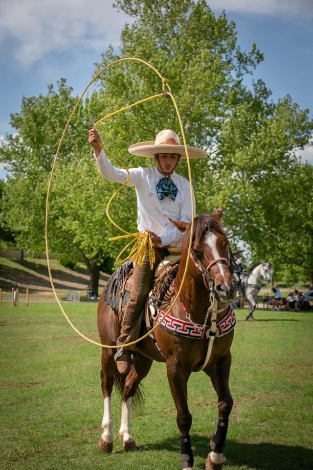 horse.jpg