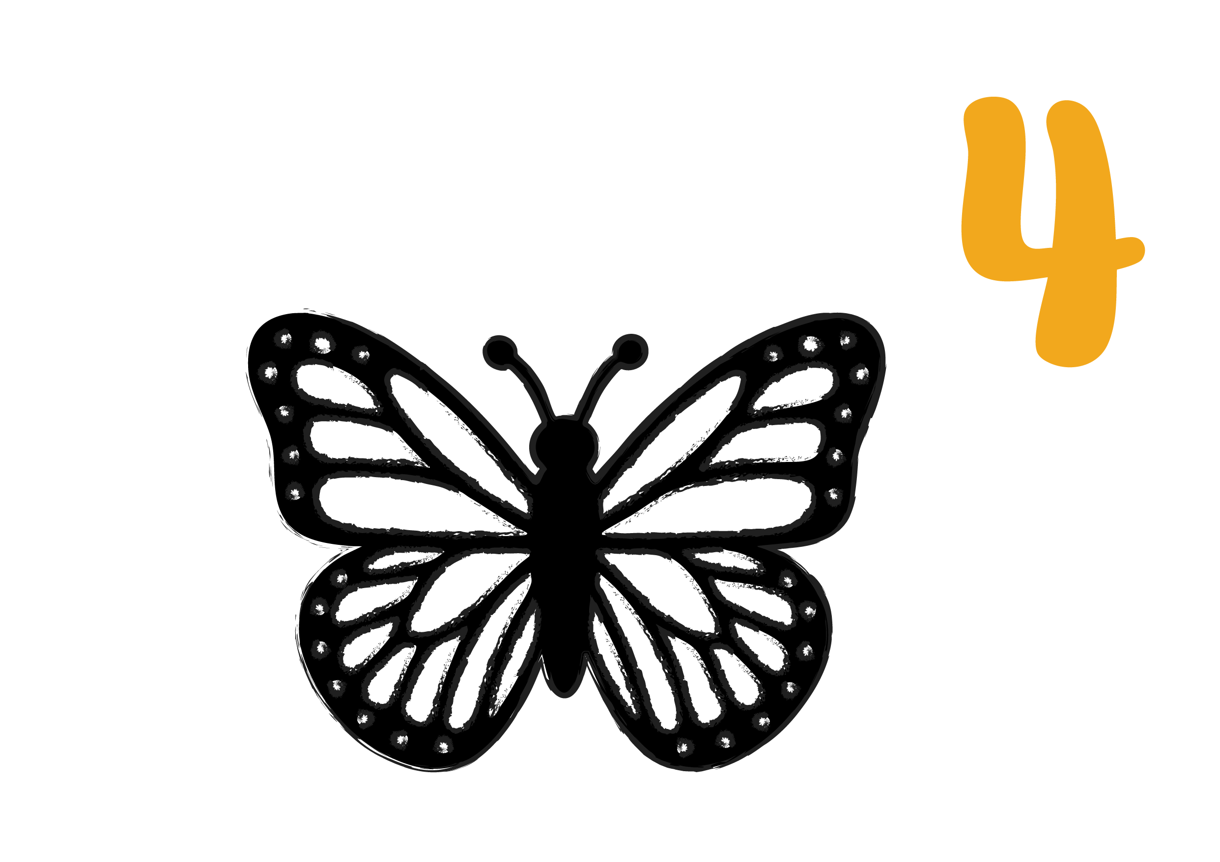 The Monarch butterflies