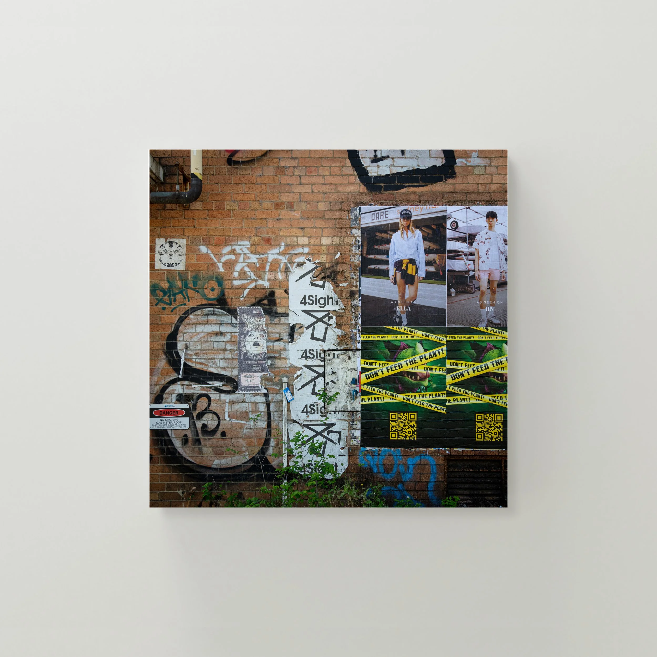 Image on wall 12.jpg