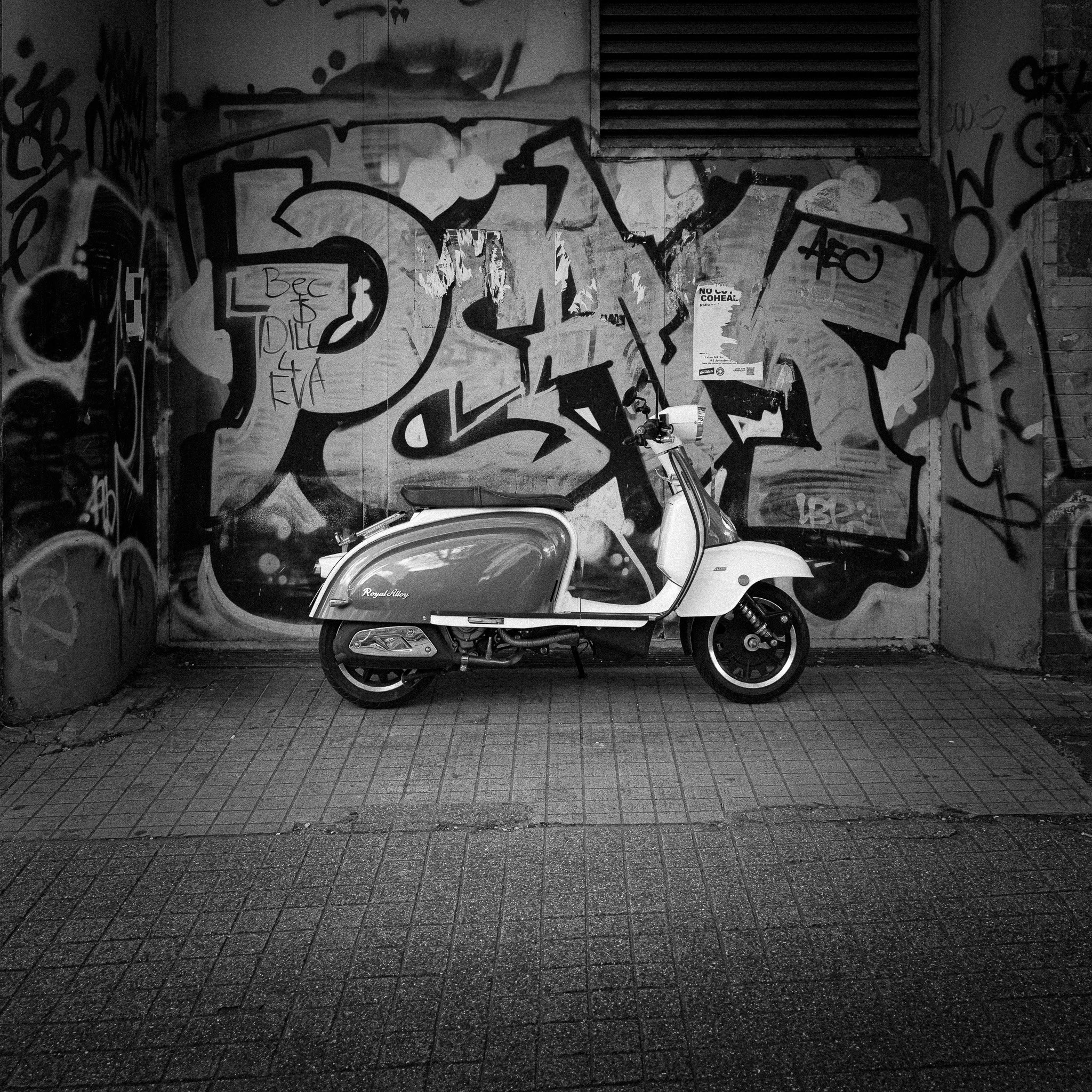_57A8184-2.jpg