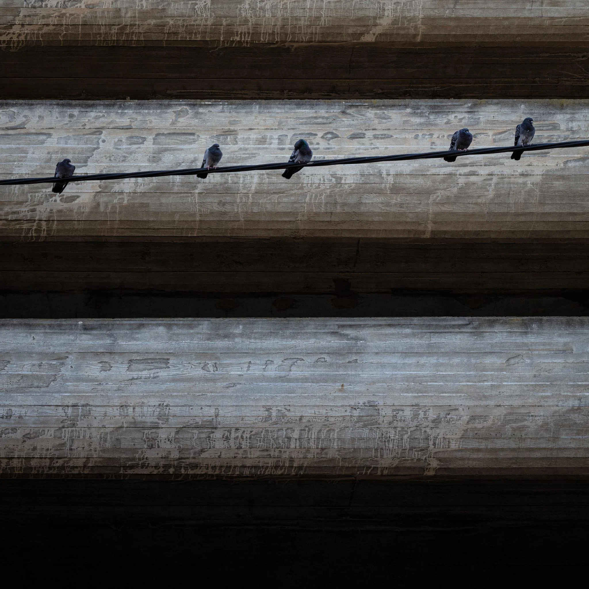 _57A7534.jpg
