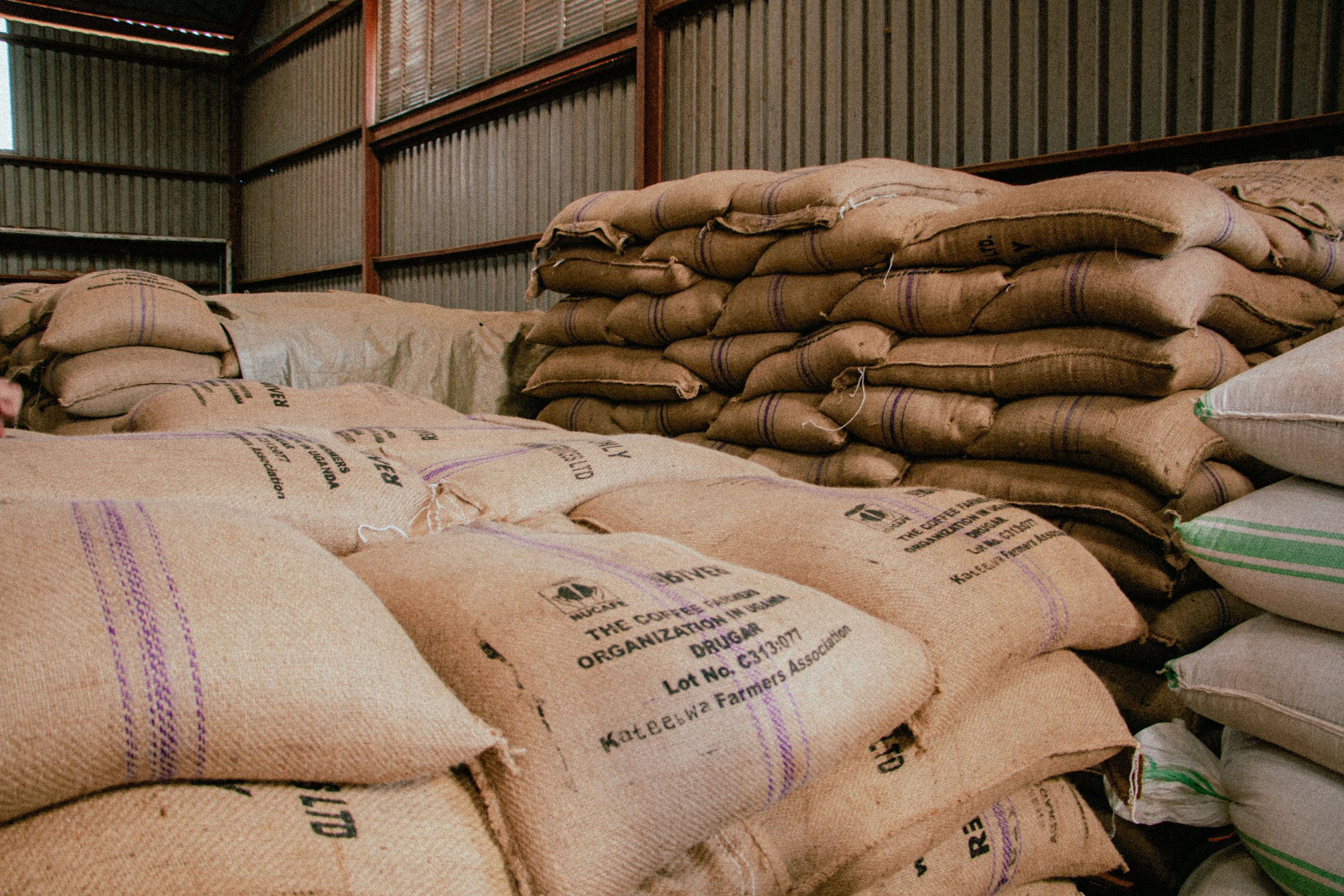 Good intentions… why not help growers themselves sell processed coffee in smallholder settings?
