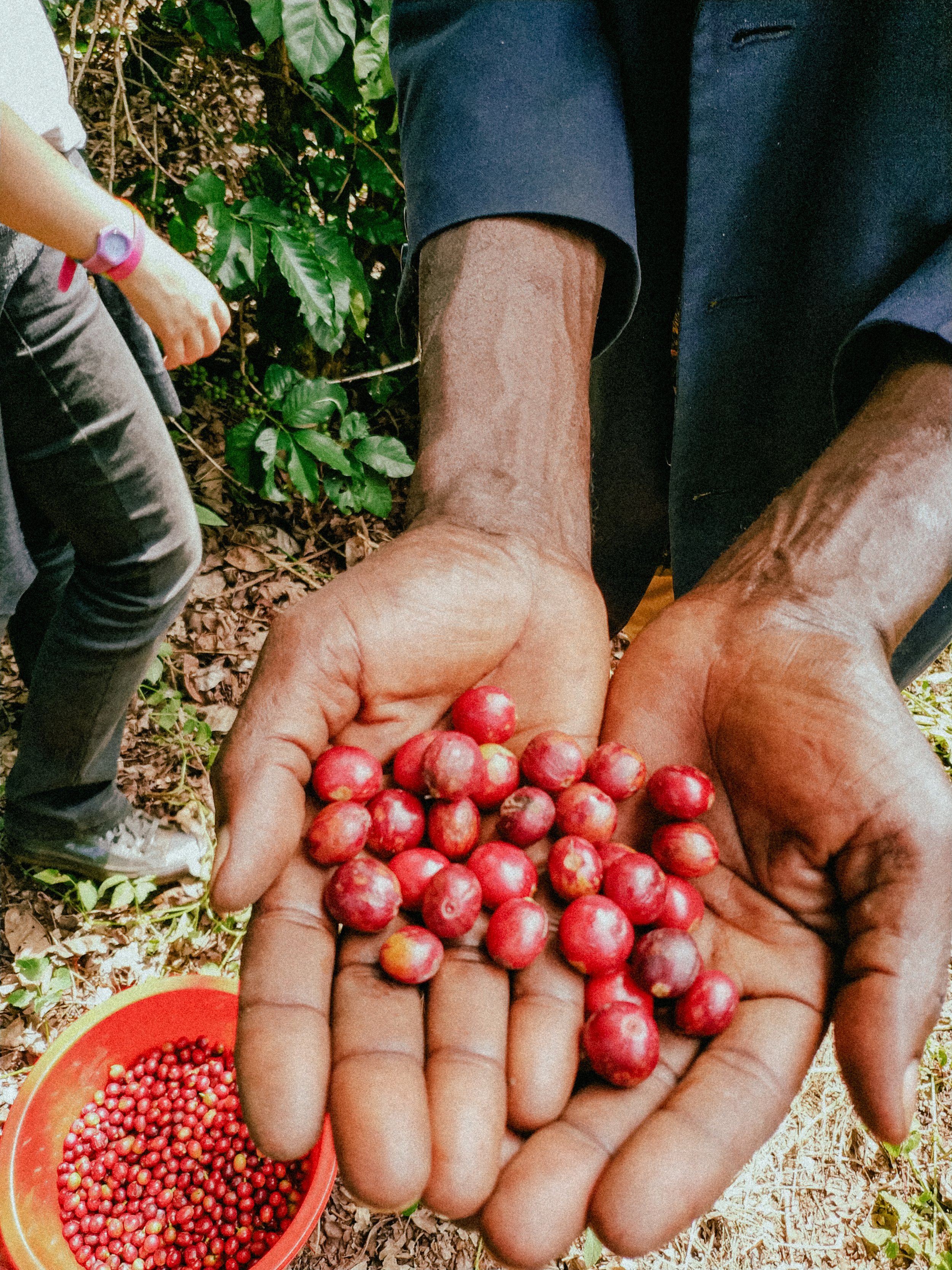 What does ‘ethically-sourced’ even mean?