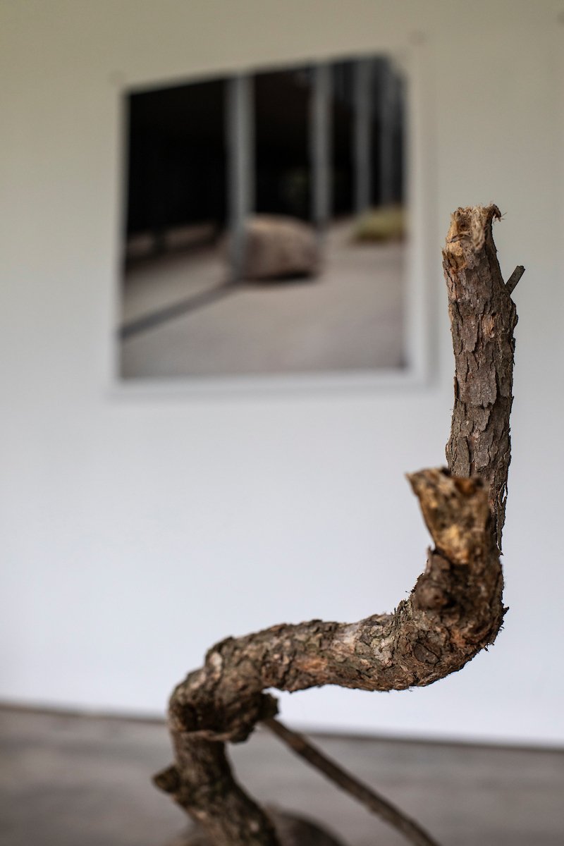 695f0c6710a3b2d8bc107406_The Farm’s 2025 Artist in Residence Presentation Callum Morton and Linda Tegg-45-1.jpg
