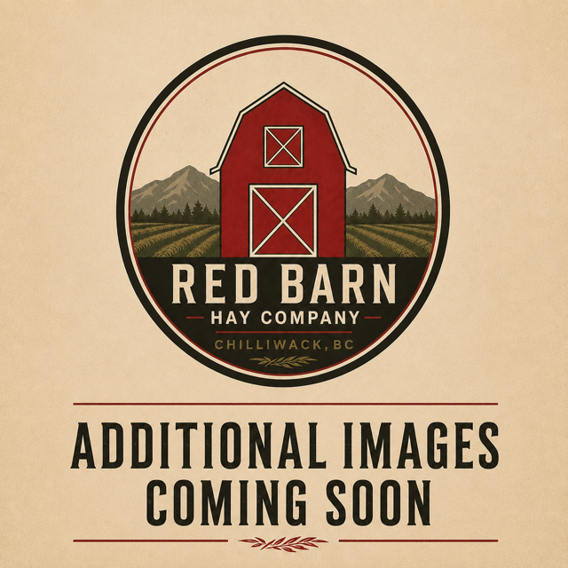RBH - additional images coming soon.PNG