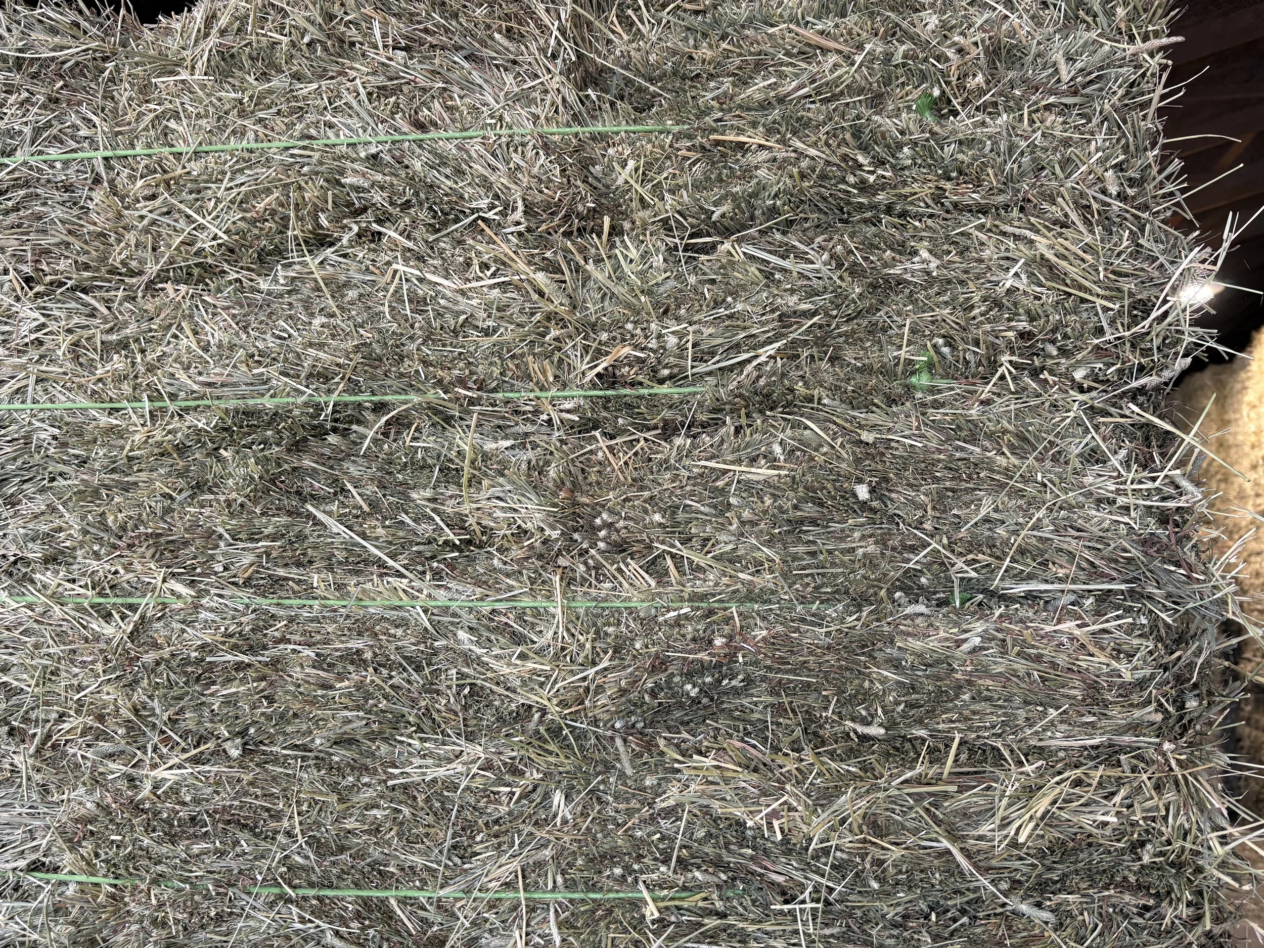 Pic - 2nd Timothy Bundles LS (18 Bale).jpeg