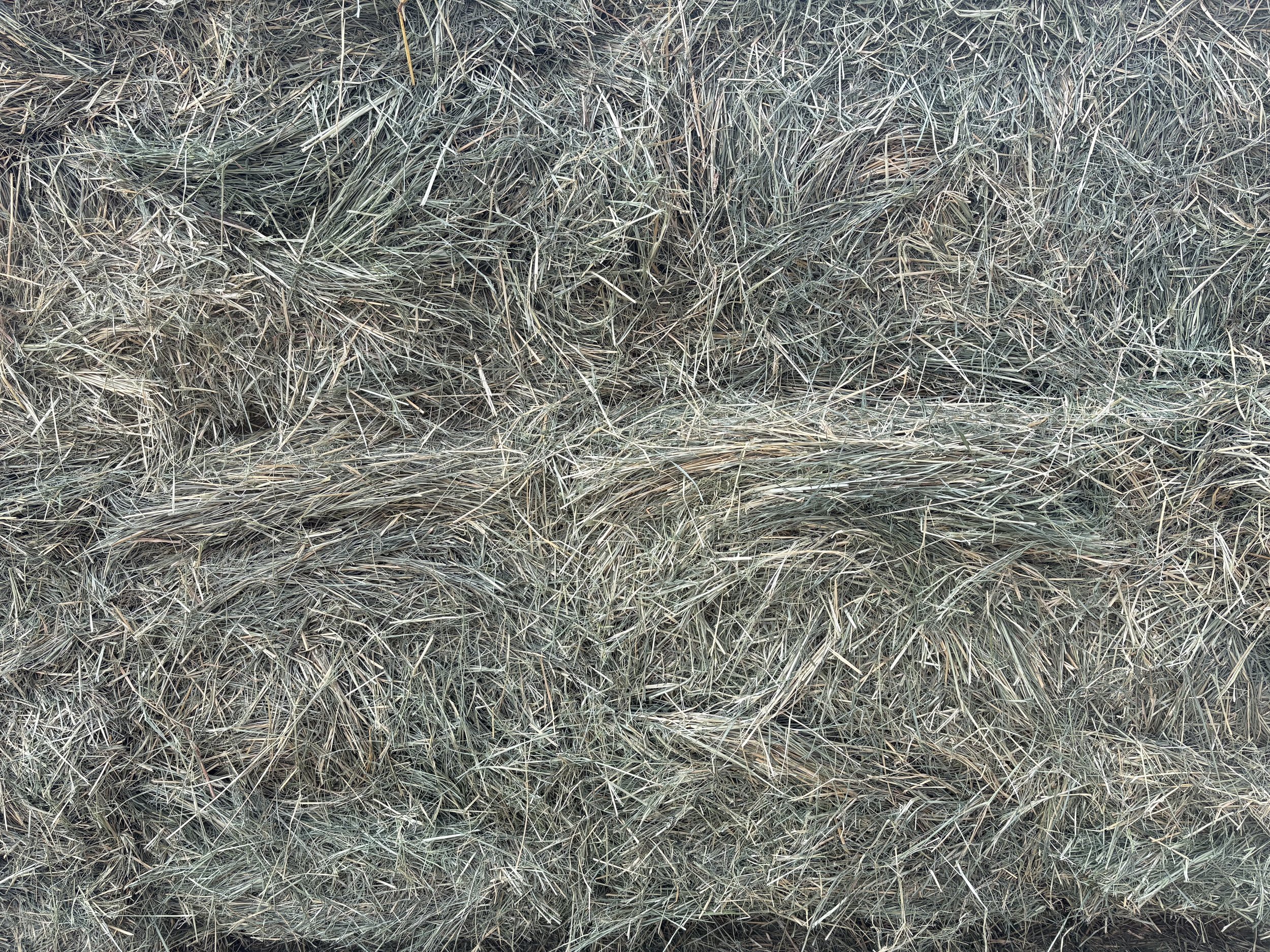 Pic2 - Teff Bundle (18 Bales).jpeg