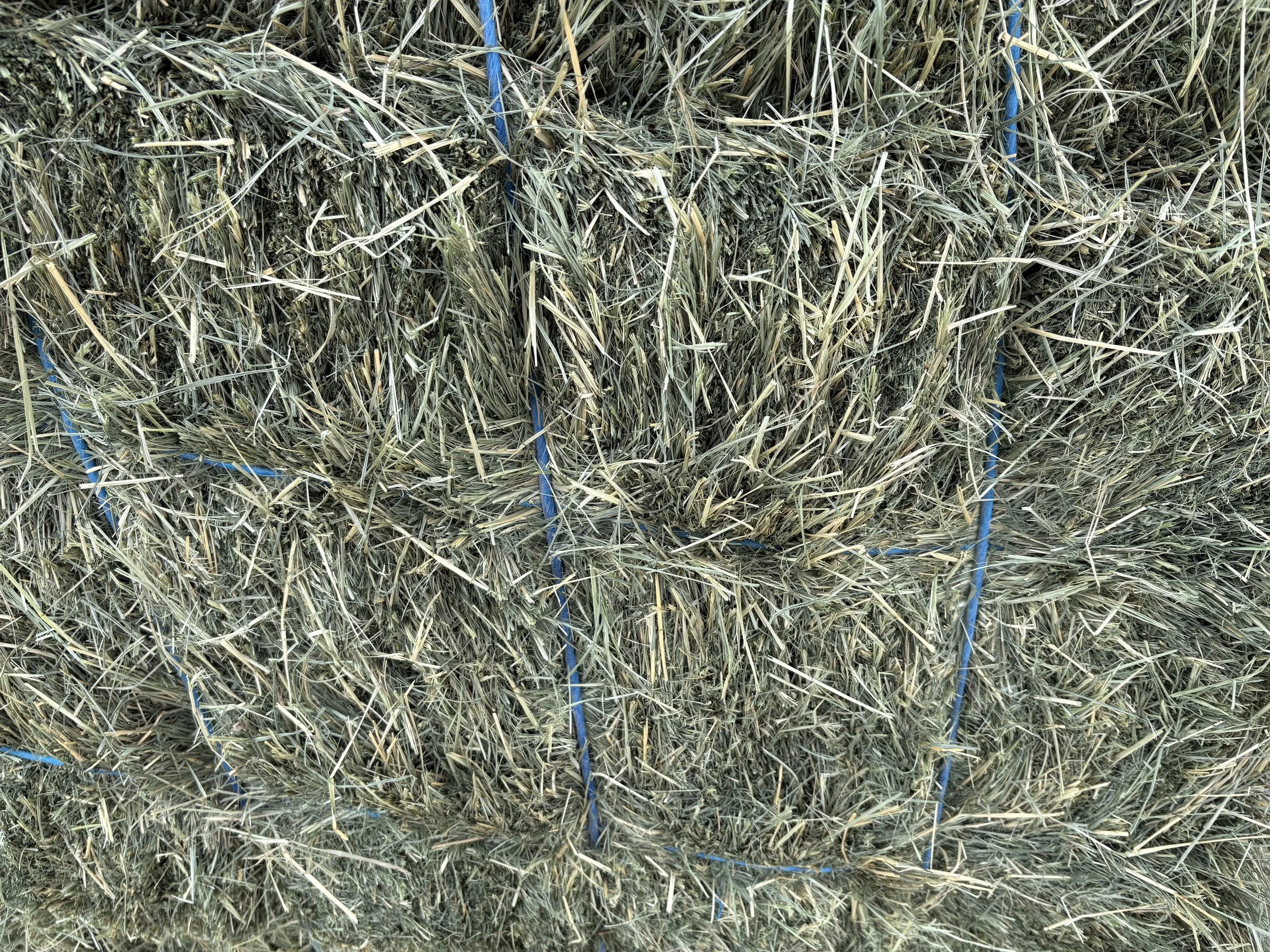 Pic4 - Teff Bundle (18 Bales).jpeg
